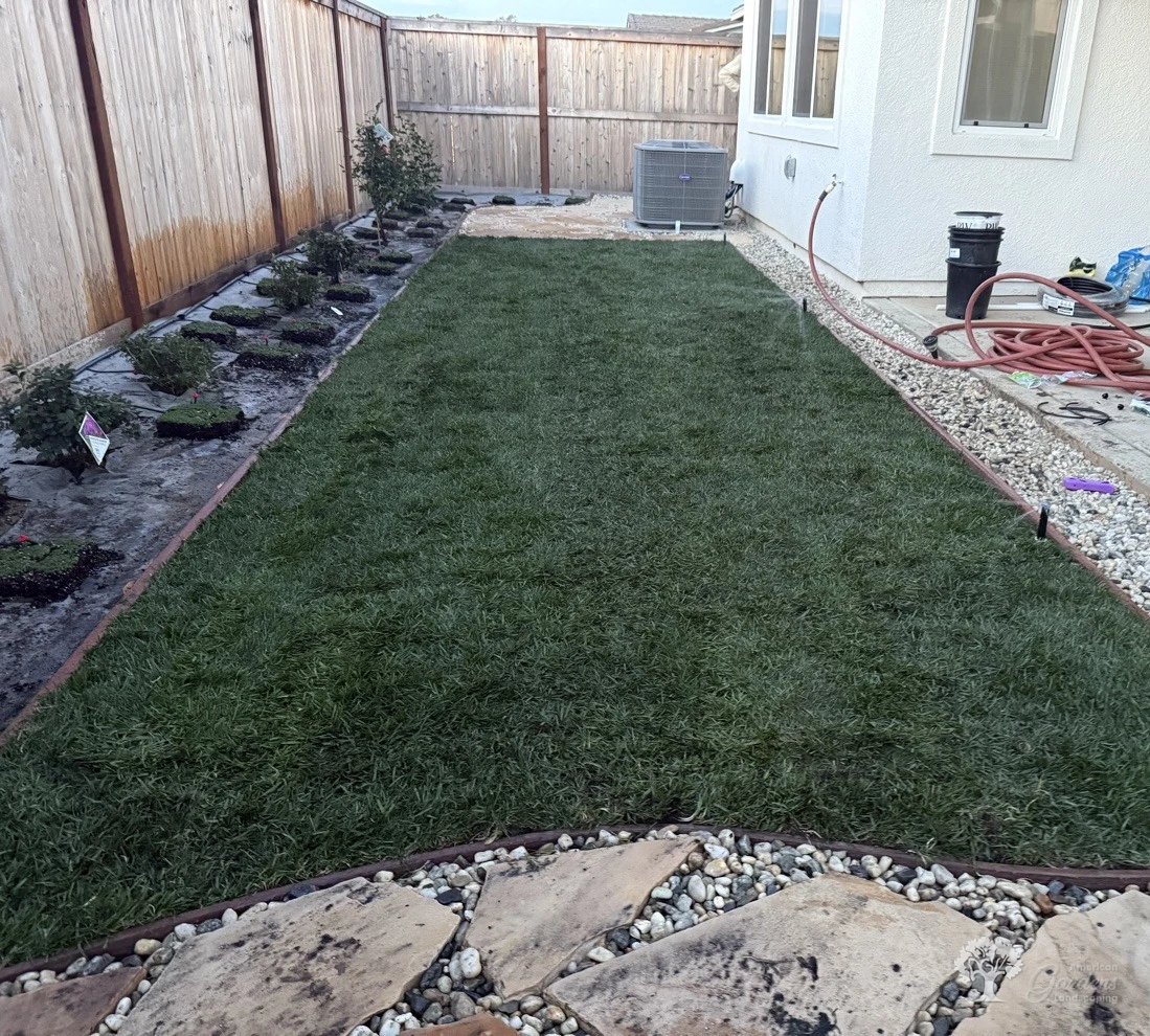 Roseville Planting – American Gardens Landscaping