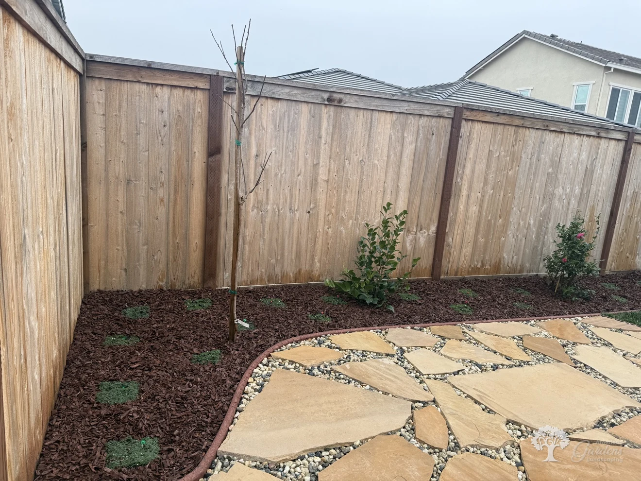 Roseville Planting – American Gardens Landscaping