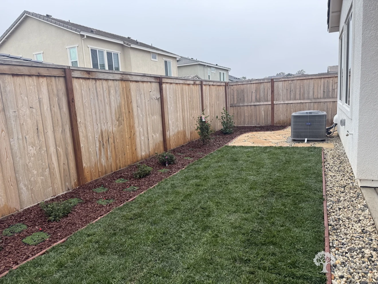 Roseville Planting – American Gardens Landscaping