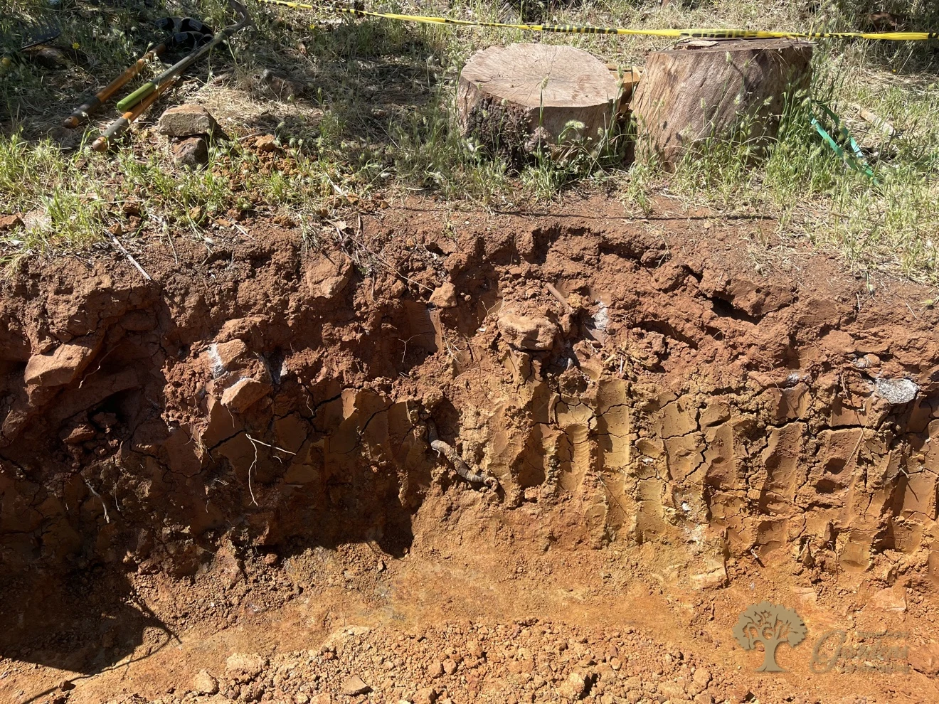 Freshly cut retaining wall footing trench below tree stumps in Shingle Springs
