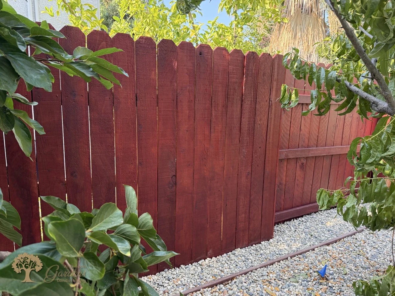 Stained redwood fence through the garden in Rocklin – American Gardens Landscaping