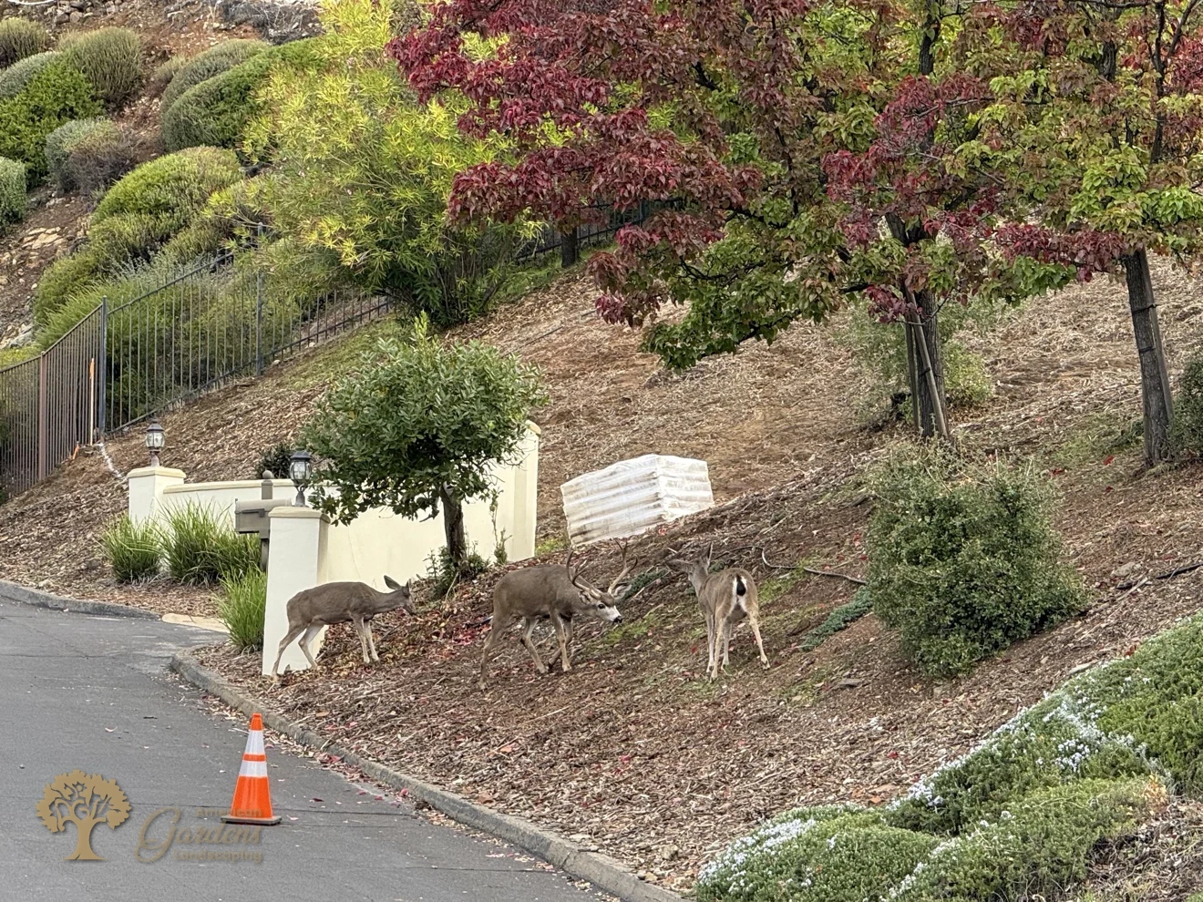 El Dorado Hills Metal Fence Installation – American Gardens Landscaping