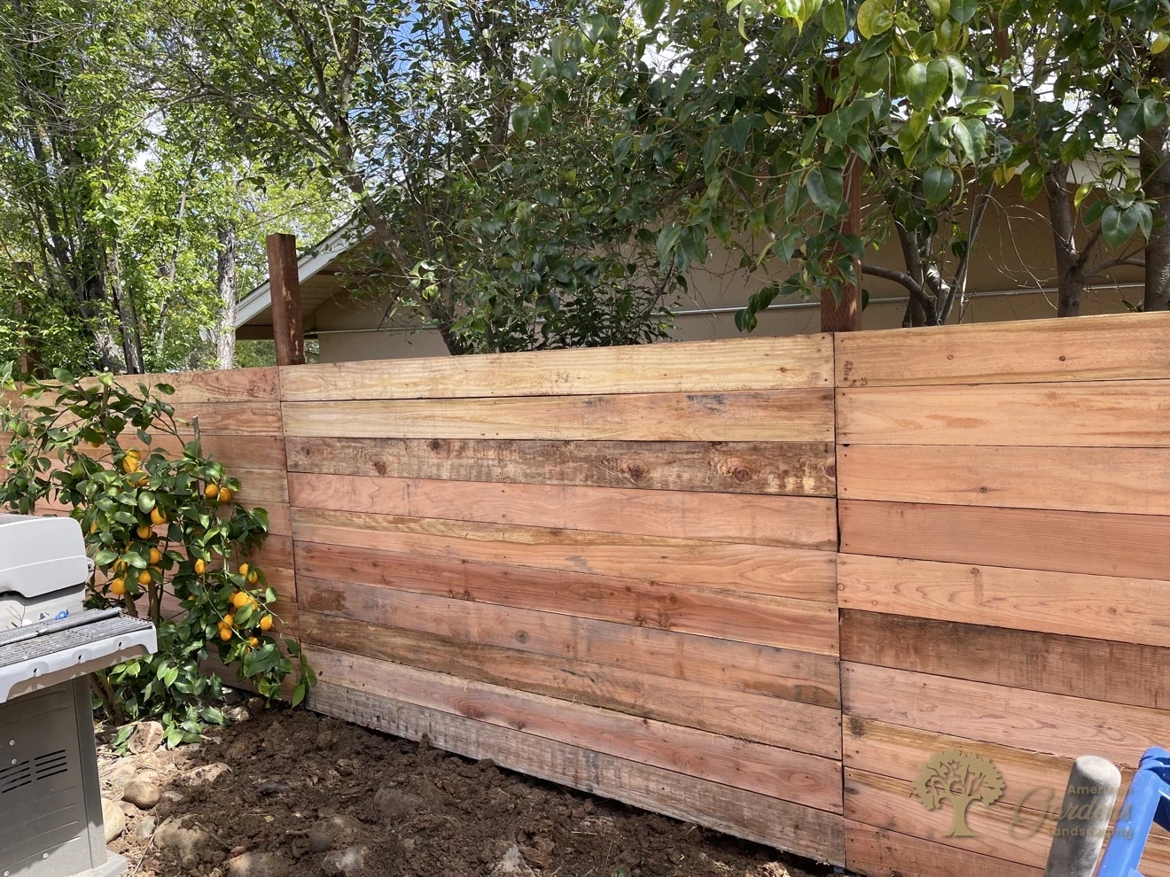 Finished horizontal board fence beside a lemon tree in a backyard, built by American Gardens Landscaping