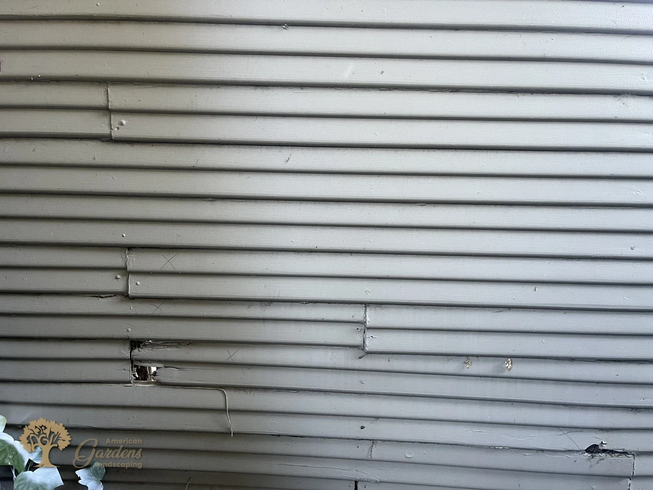 The old gray horizontal fence in Sacramento before replacement, damaged boards marked with X and a hole rotted through one board, by American Gardens Landscaping