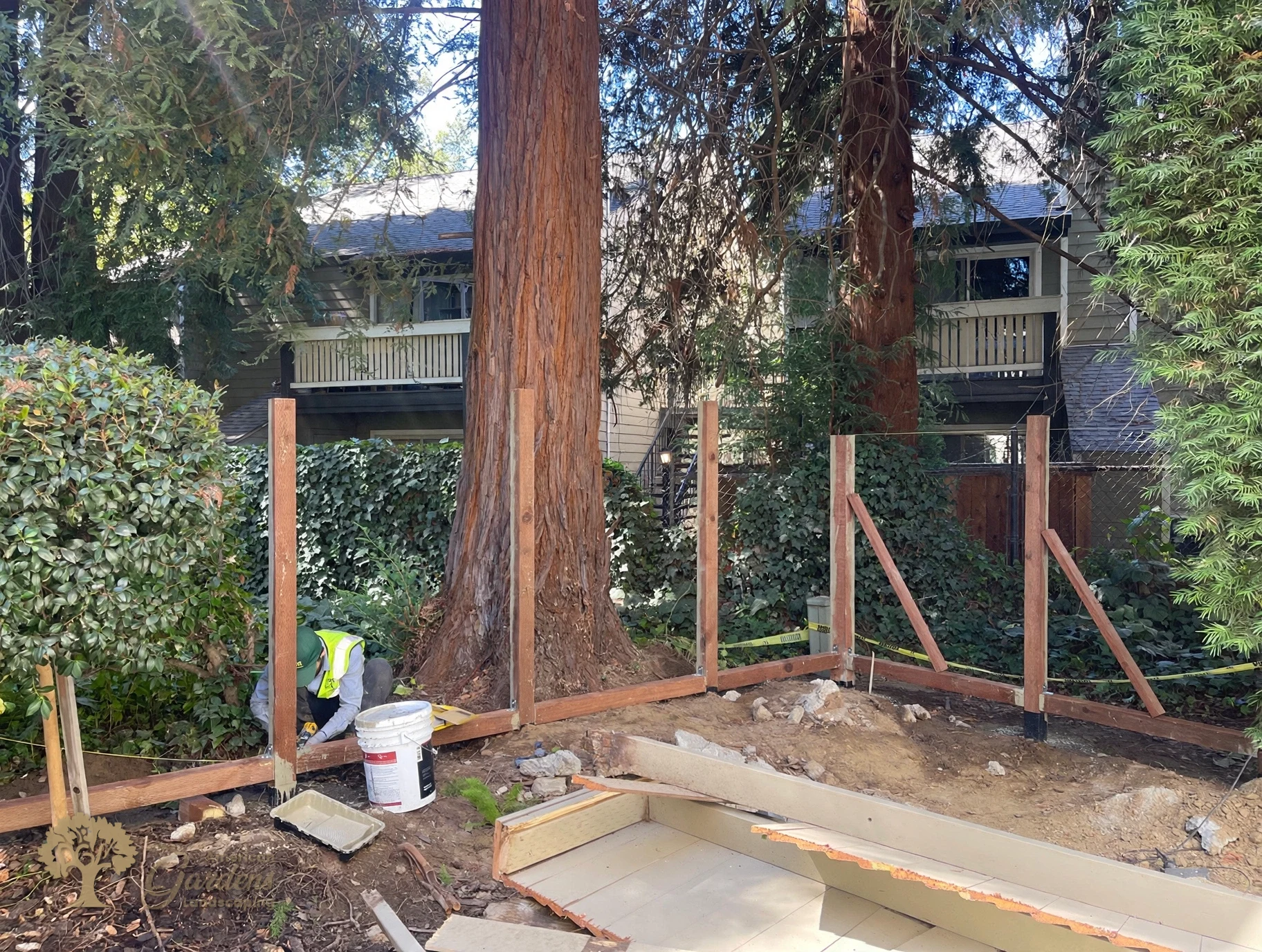 Wide view of the new fence framing running along the ivy-covered line in Sacramento, a crew member sealing a post on the left and a removed old fence panel in the foreground, by American Gardens Landscaping