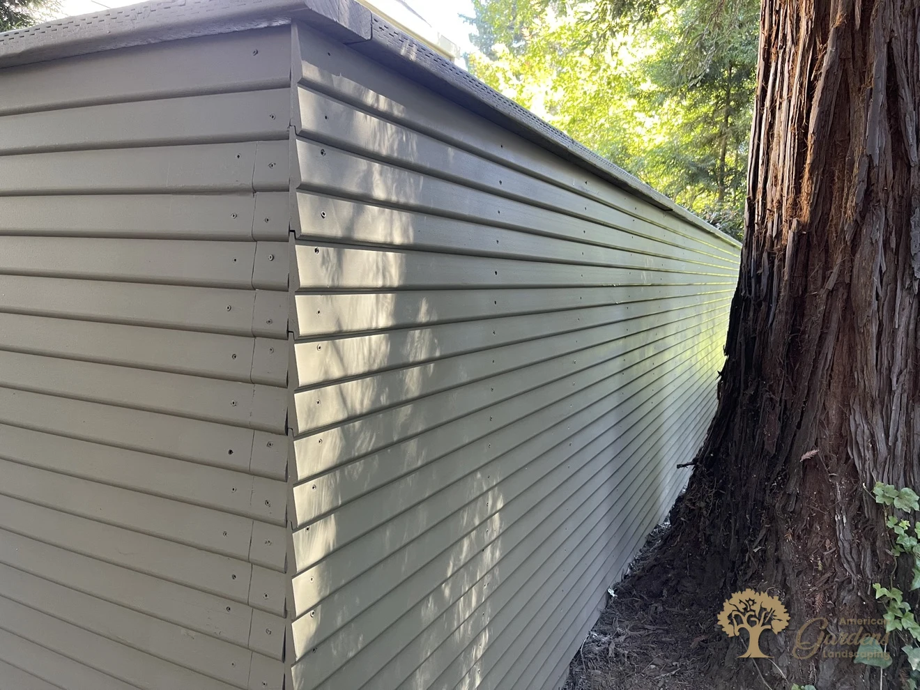 Finished painted horizontal fence panels curving past a redwood trunk with neat screw rows, a fence replacement built to HOA rules in a Sacramento gated community by American Gardens Landscaping