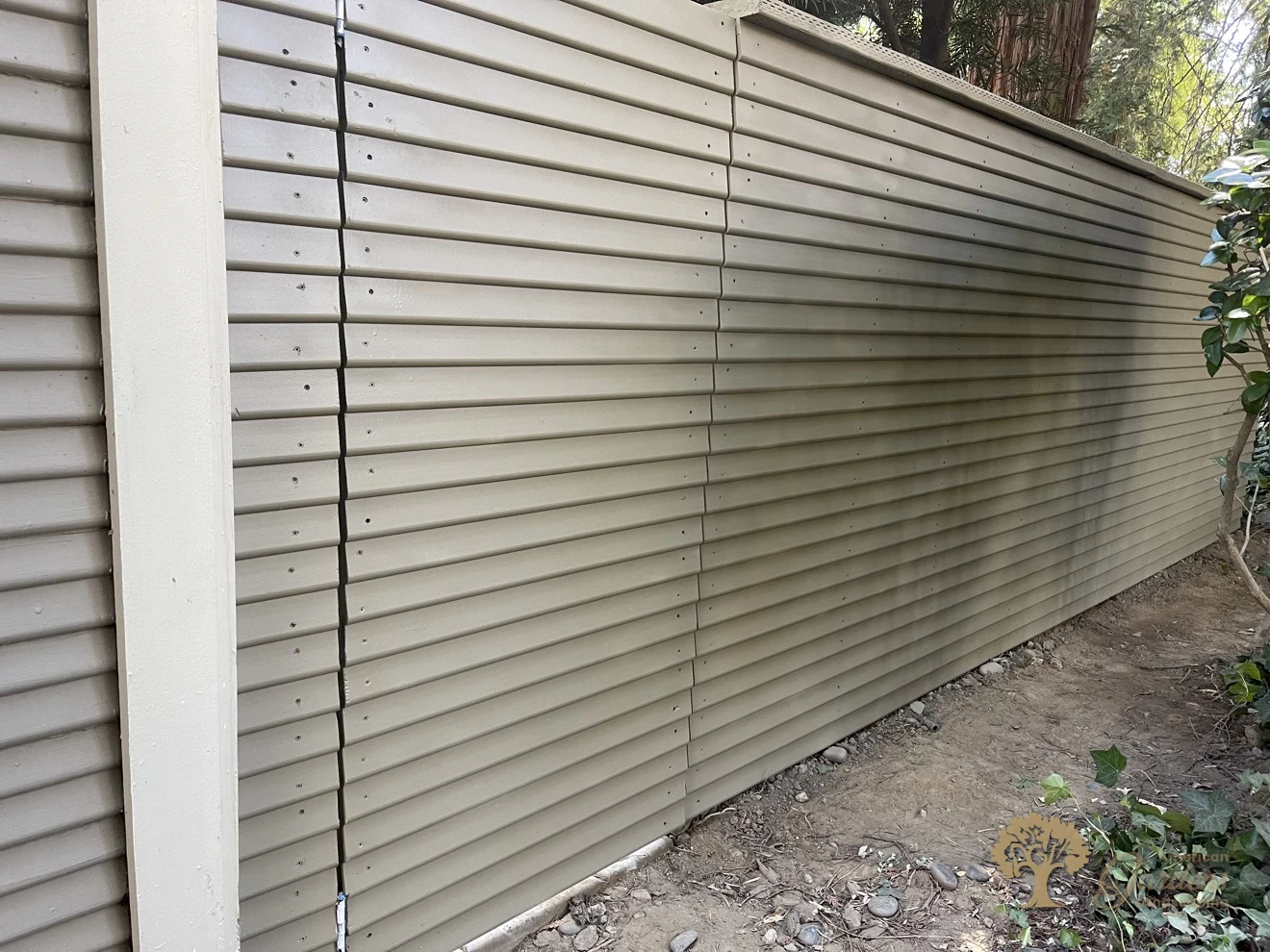 The finished painted fence in dappled light in Sacramento, showing clean panel joints and neat screw rows, built to HOA rules by American Gardens Landscaping