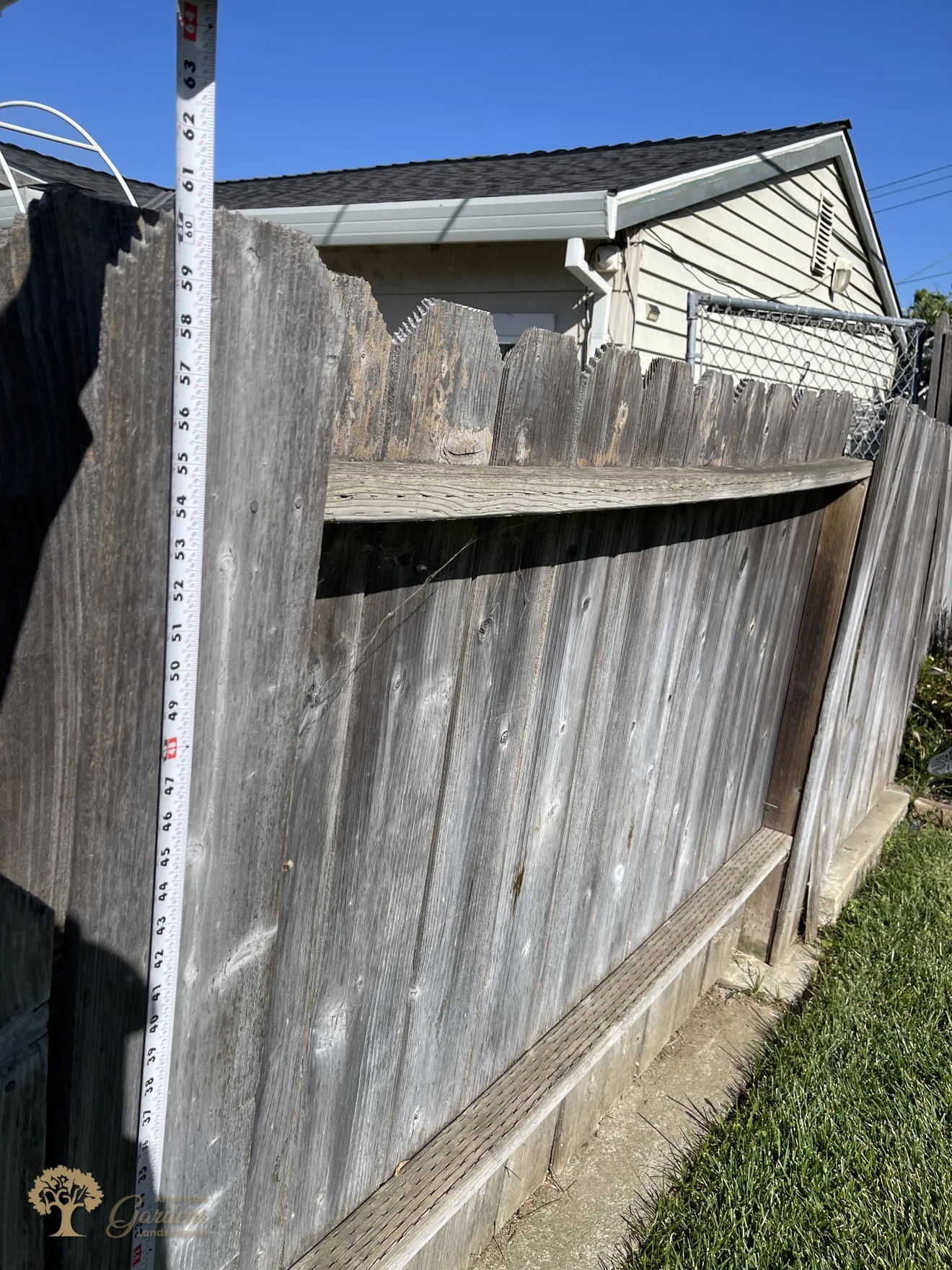 Measuring the old fence before replacement in Sacramento – American Gardens Landscaping