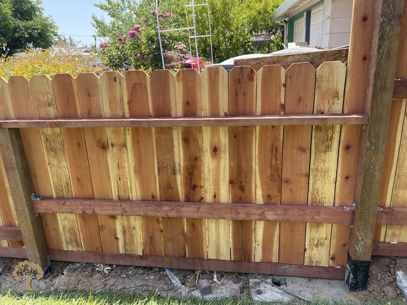 Pressure-treated rails and posts on the new redwood fence in Sacramento – American Gardens Landscaping