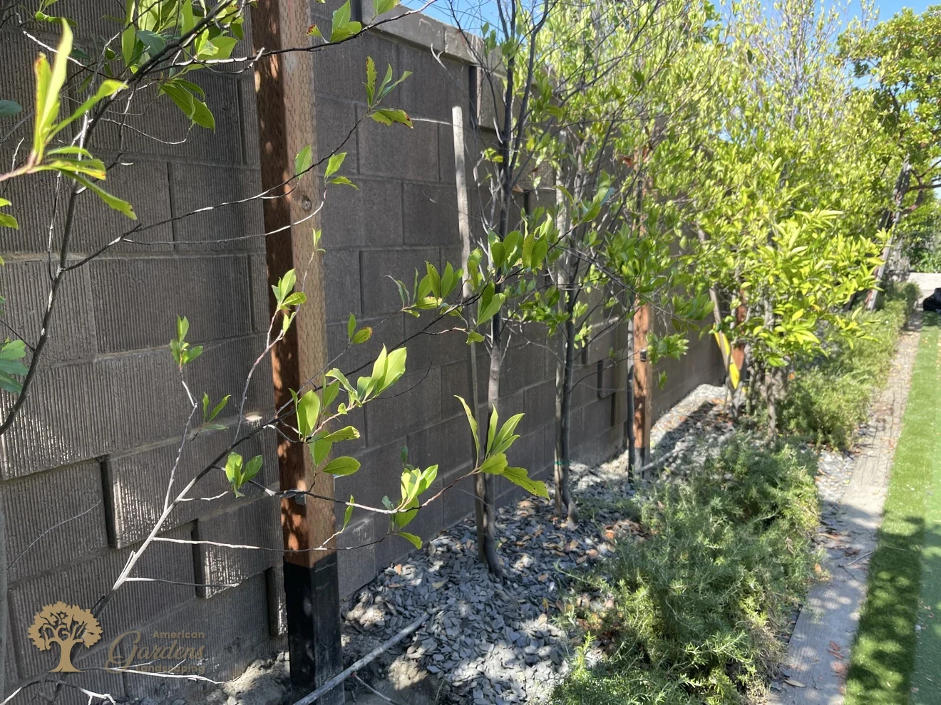 Folsom Redwood Lattice Privacy Screen – American Gardens Landscaping
