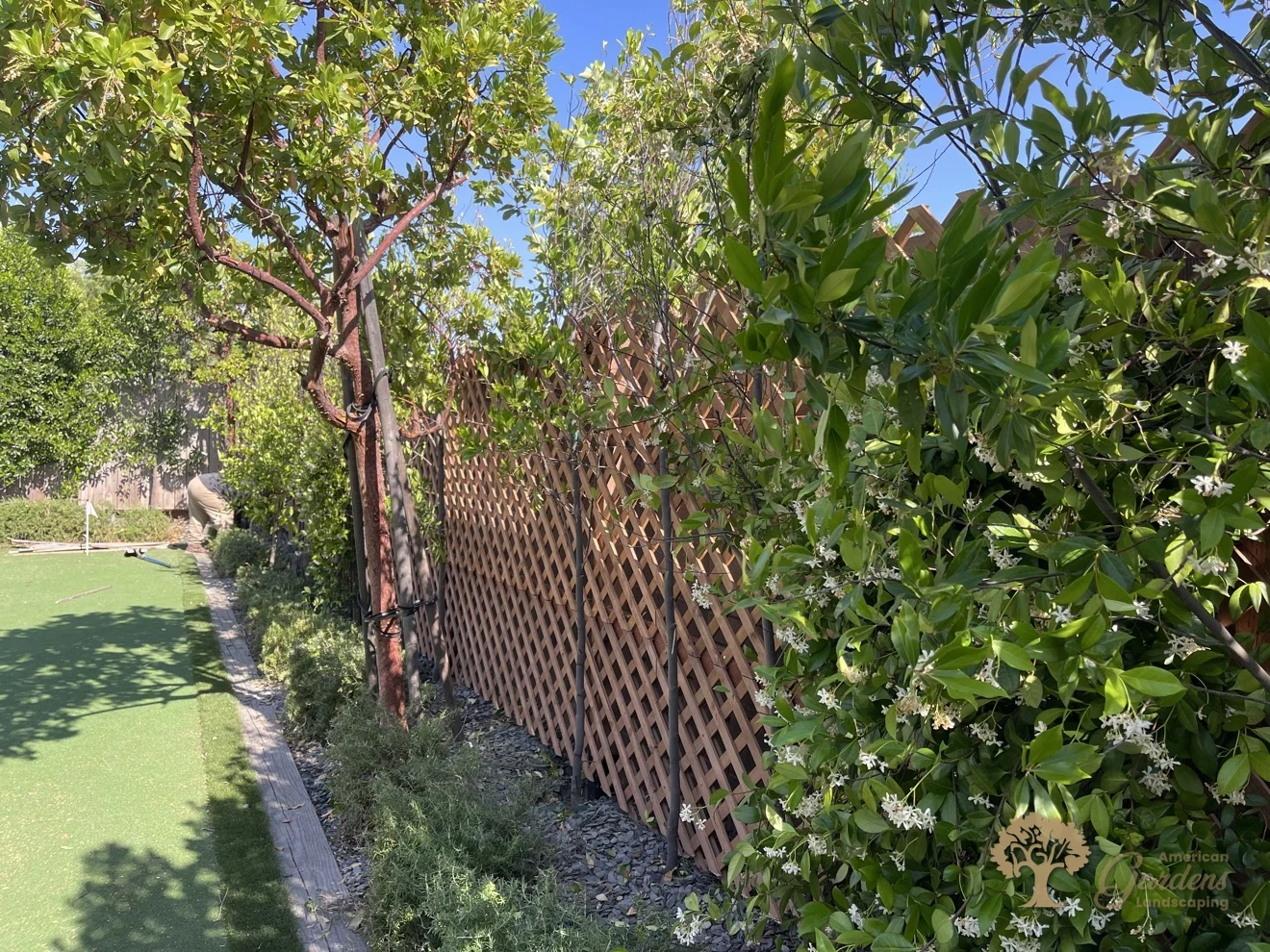 Folsom Redwood Lattice Privacy Screen – American Gardens Landscaping
