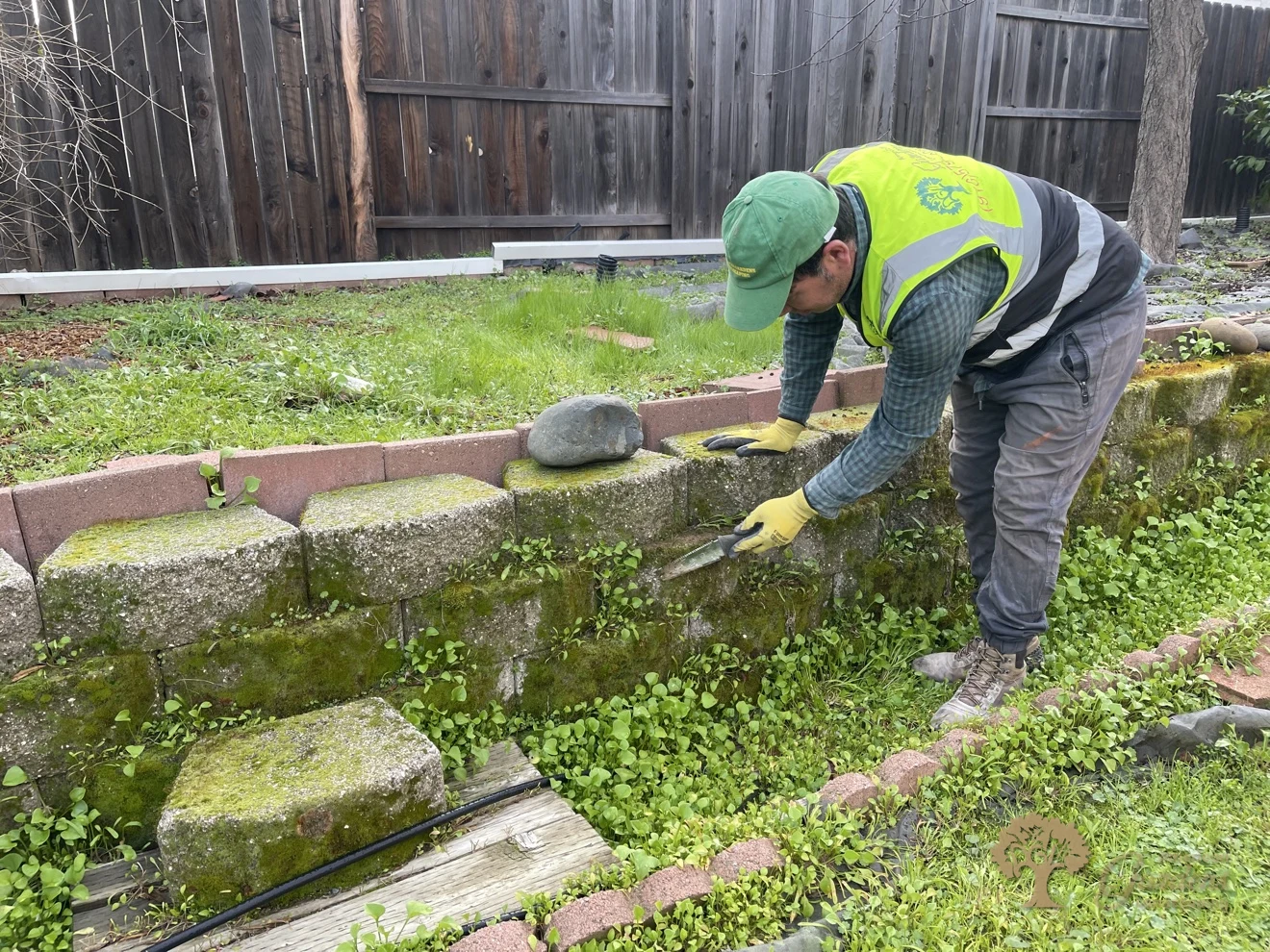 Crew cleaning the mossy block retaining wall in Folsom – American Gardens Landscaping