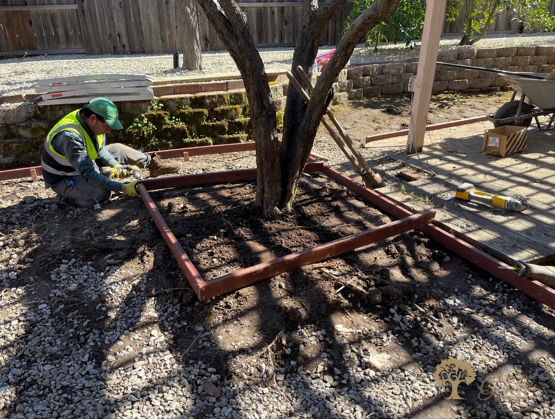 Framing the tree ring with bender board edging in Folsom – American Gardens Landscaping