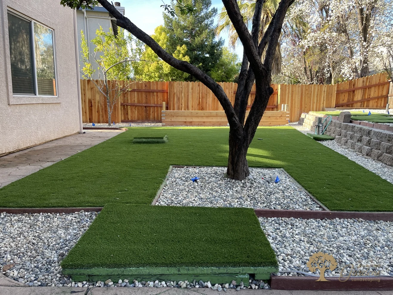 Completed artificial lawn with river-rock tree ring in Folsom – American Gardens Landscaping