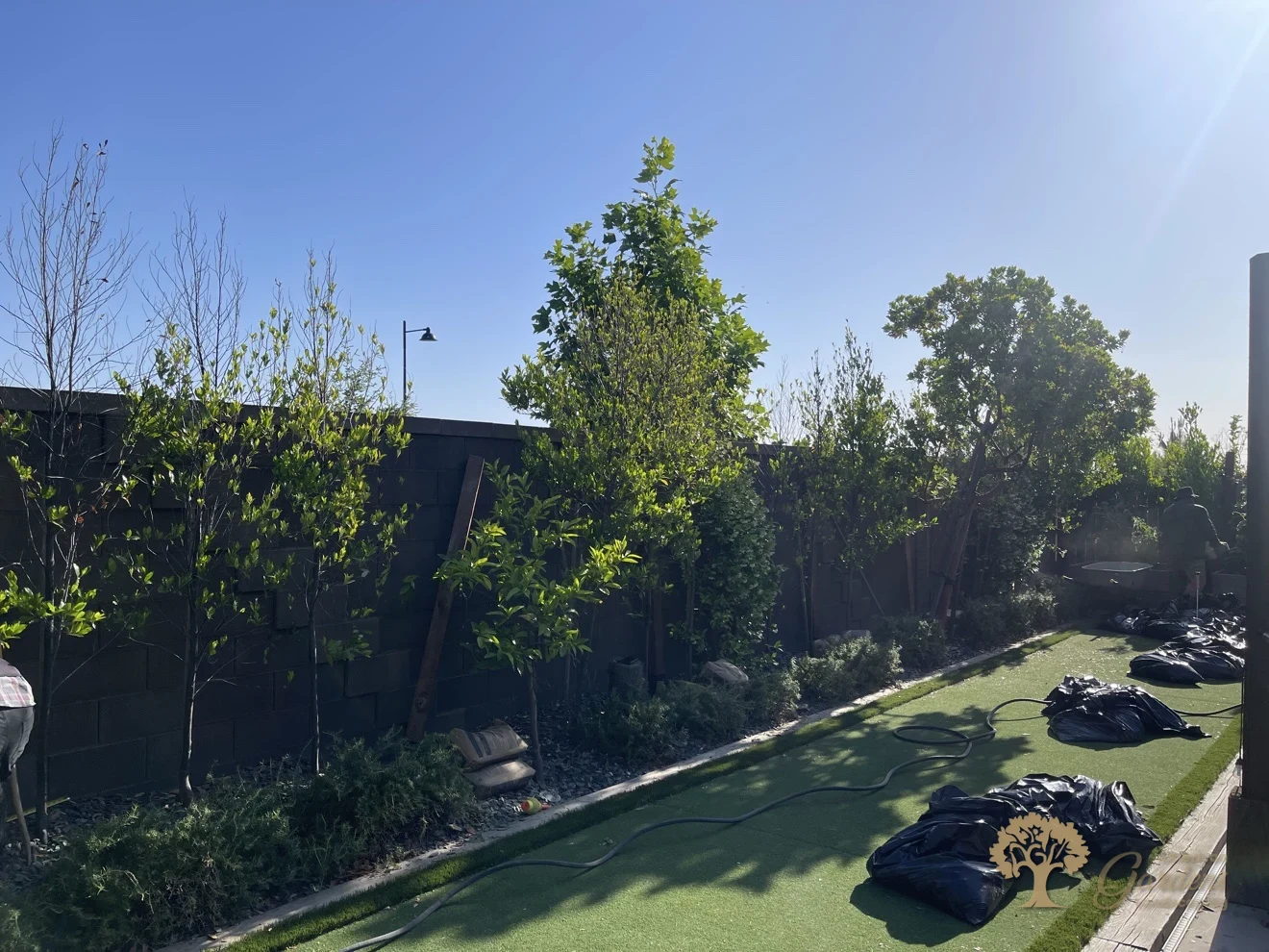 Folsom Putting Green – American Gardens Landscaping