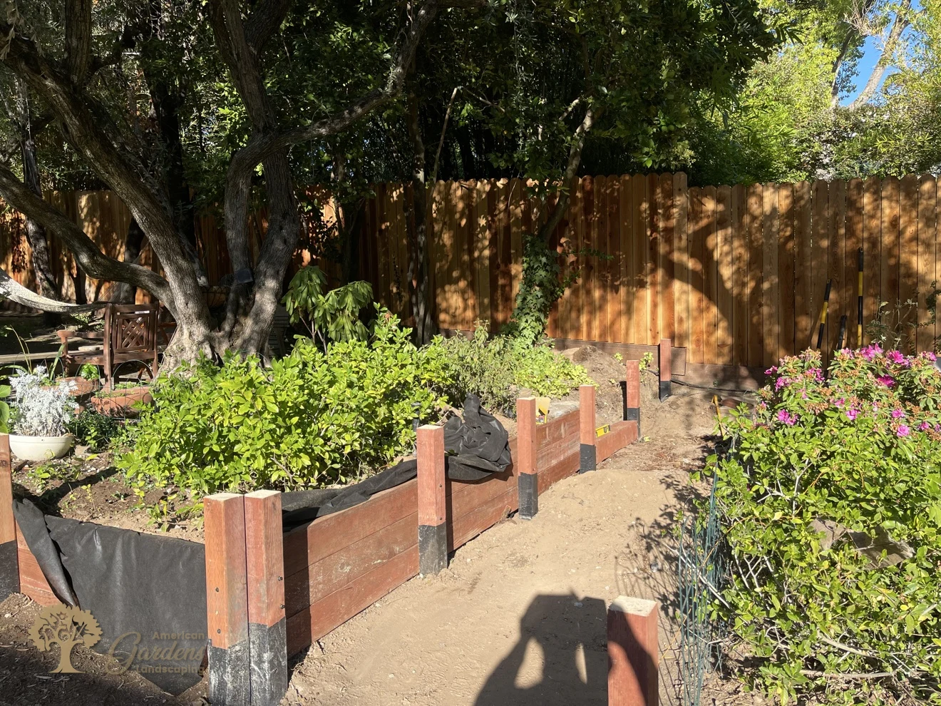 The new pressure-treated timber retaining wall seen from the garden side in Fair Oaks, with black filter fabric behind the courses and waterproof wrap on the post bases, by American Gardens Landscaping