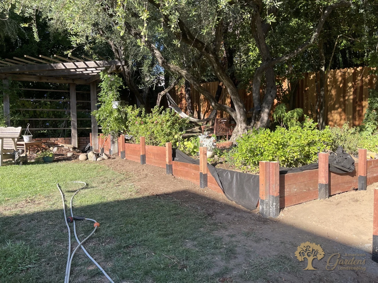 The long finished pressure-treated timber retaining wall running along the lawn under the olive trees in Fair Oaks, built by American Gardens Landscaping