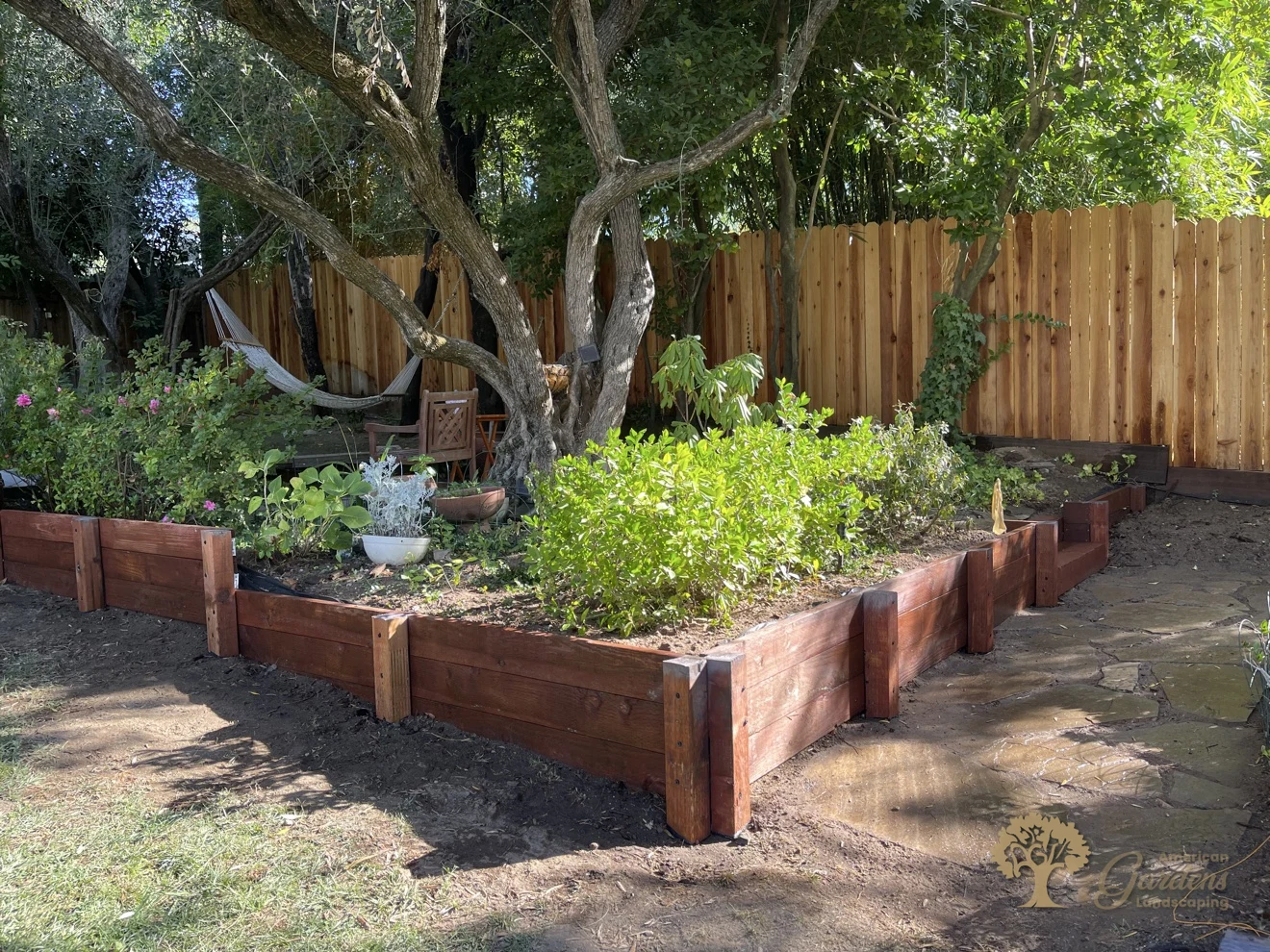 Finished pressure-treated timber retaining wall corner under an olive tree with a hammock and flagstone patio behind it in Fair Oaks, built by American Gardens Landscaping
