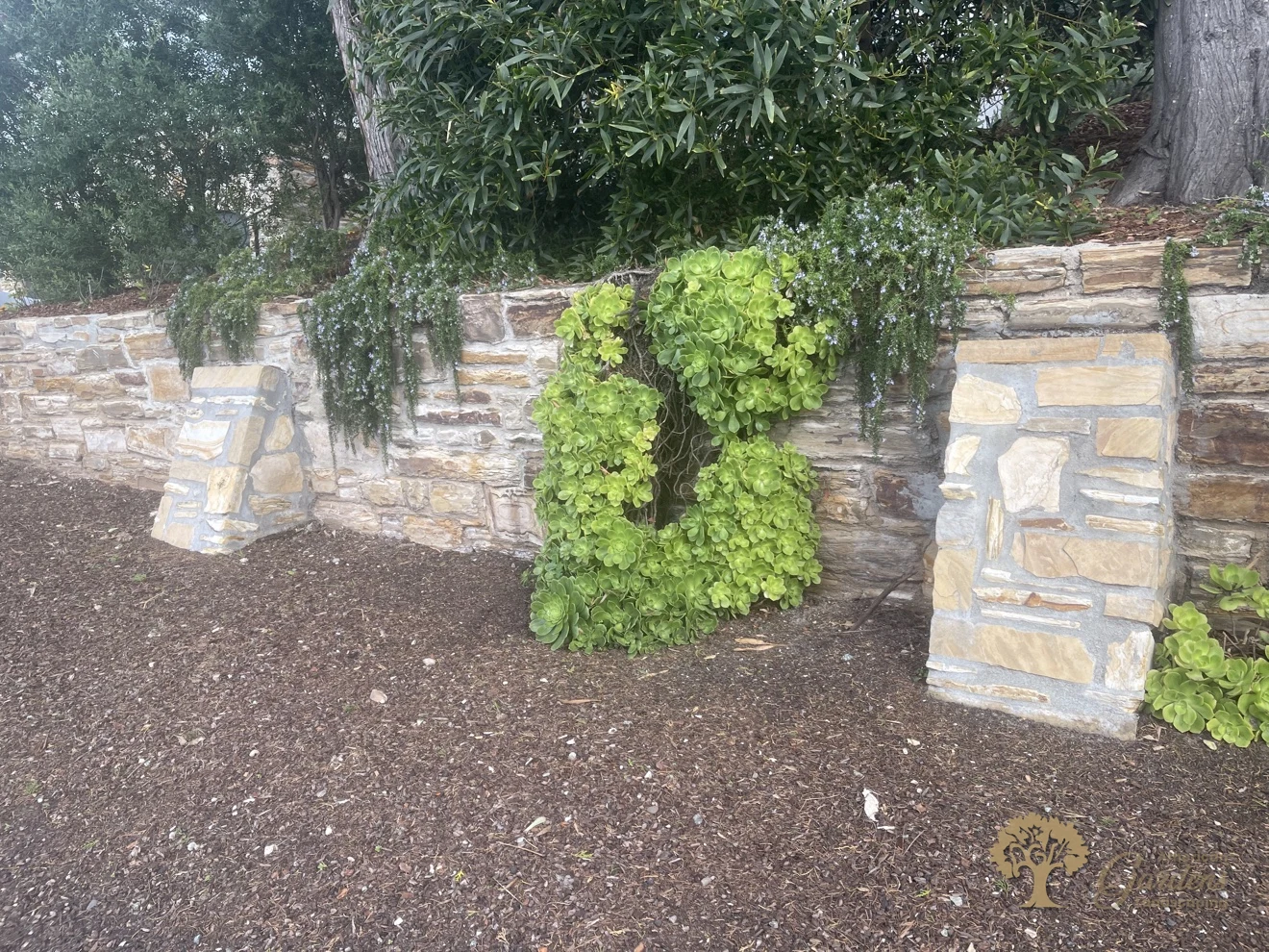 Natural stone retaining wall with stone buttress and trailing plants – American Gardens Landscaping
