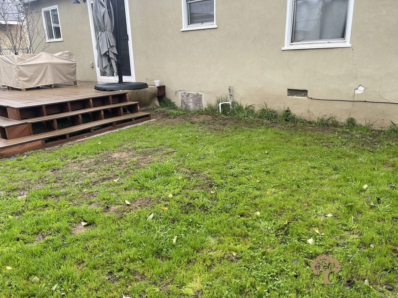 Grass backyard before a herringbone paver patio build in Sacramento – American Gardens Landscaping