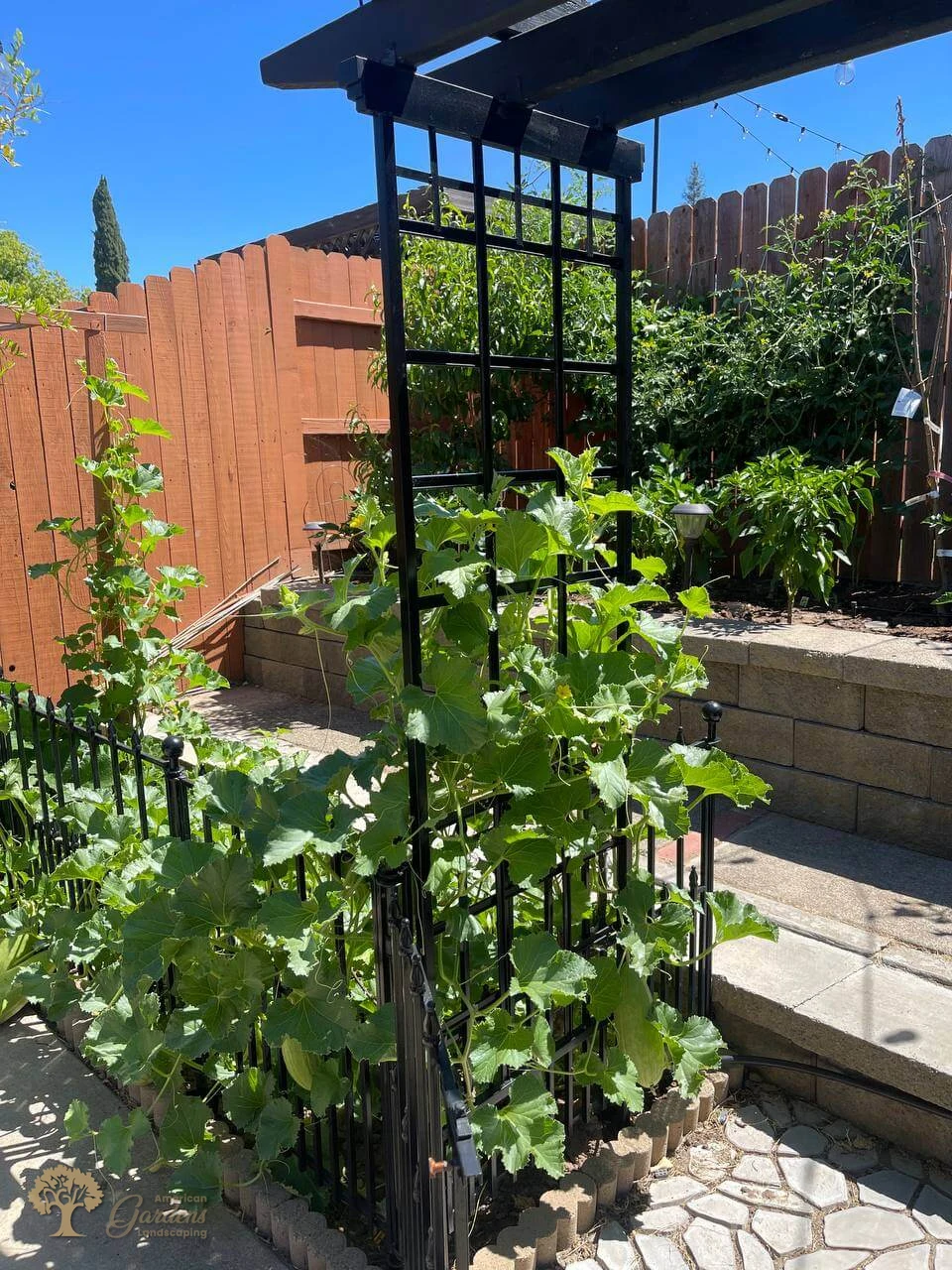 American gardens landscaping vegetables project 2
