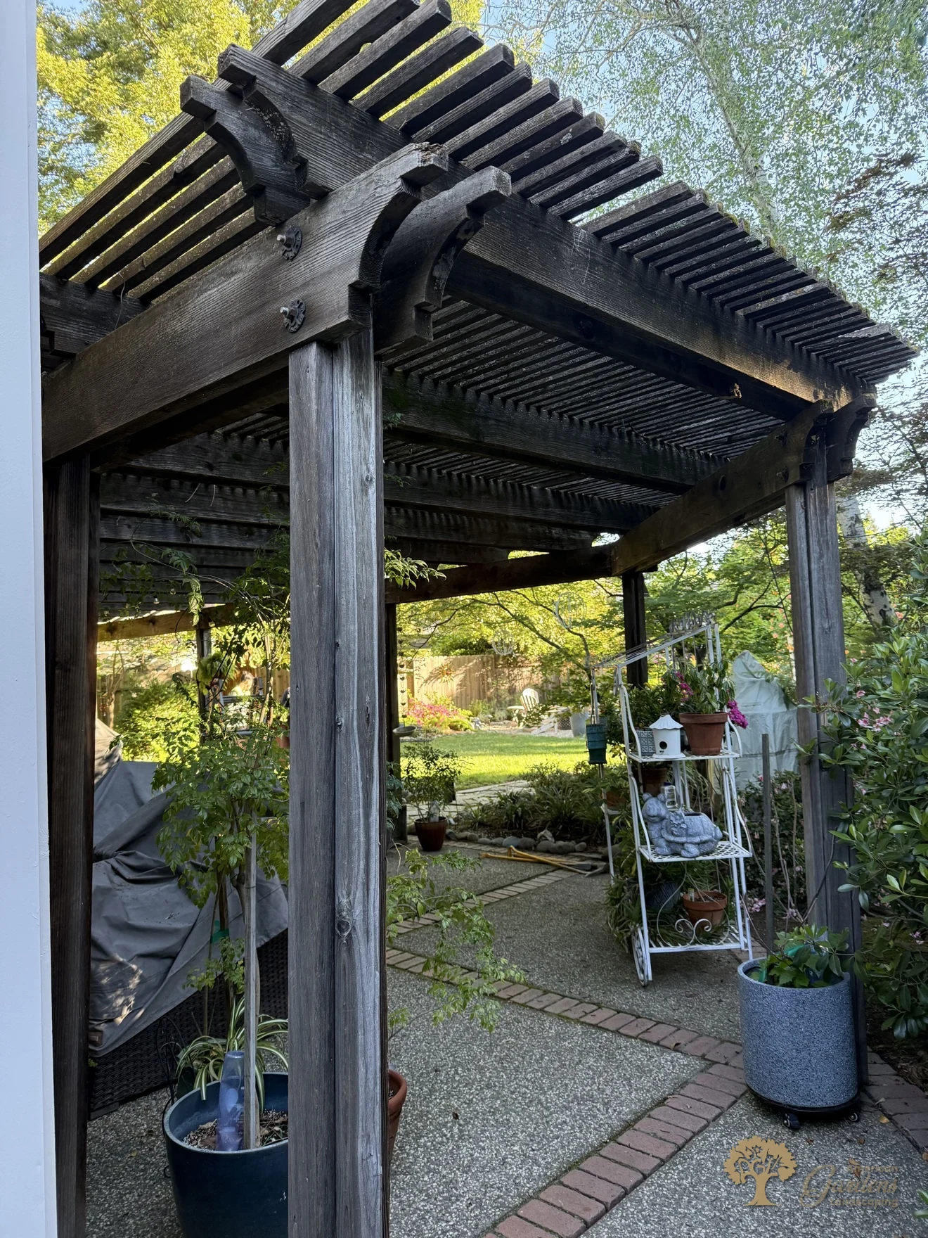 Gold River Pergola Rebuild – American Gardens Landscaping
