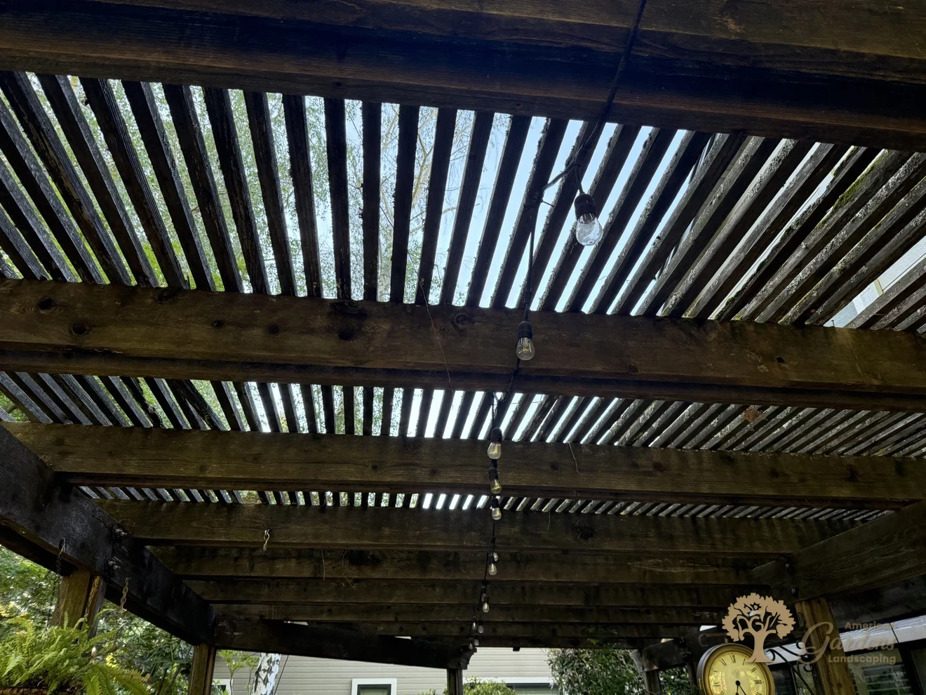 Gold River Pergola Rebuild – American Gardens Landscaping