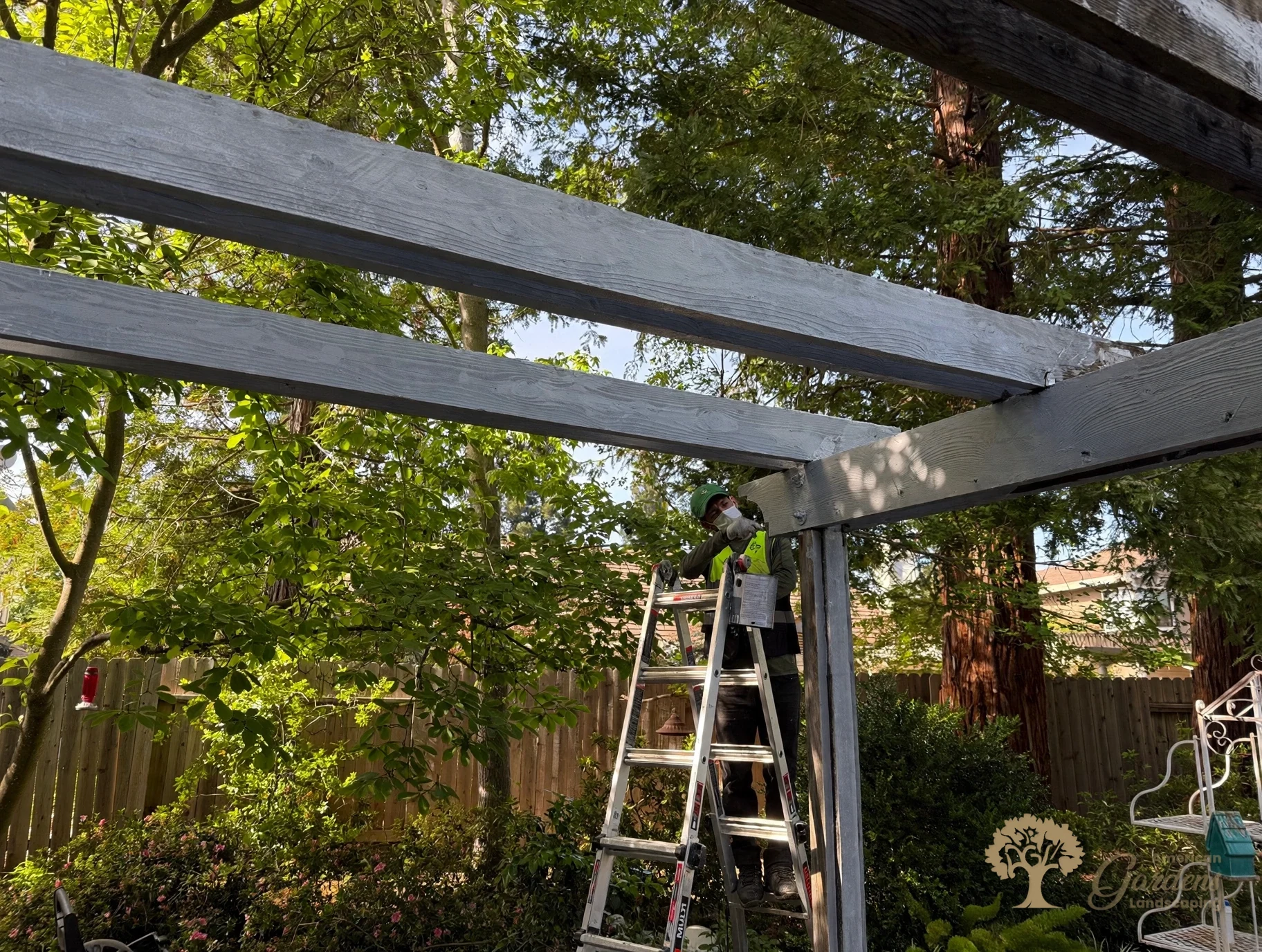 Gold River Pergola Rebuild – American Gardens Landscaping