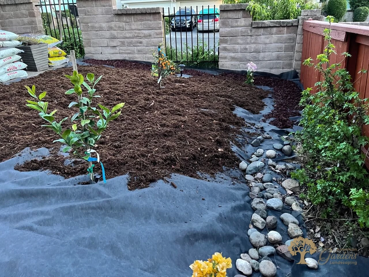 American gardens landscaping planting project 2