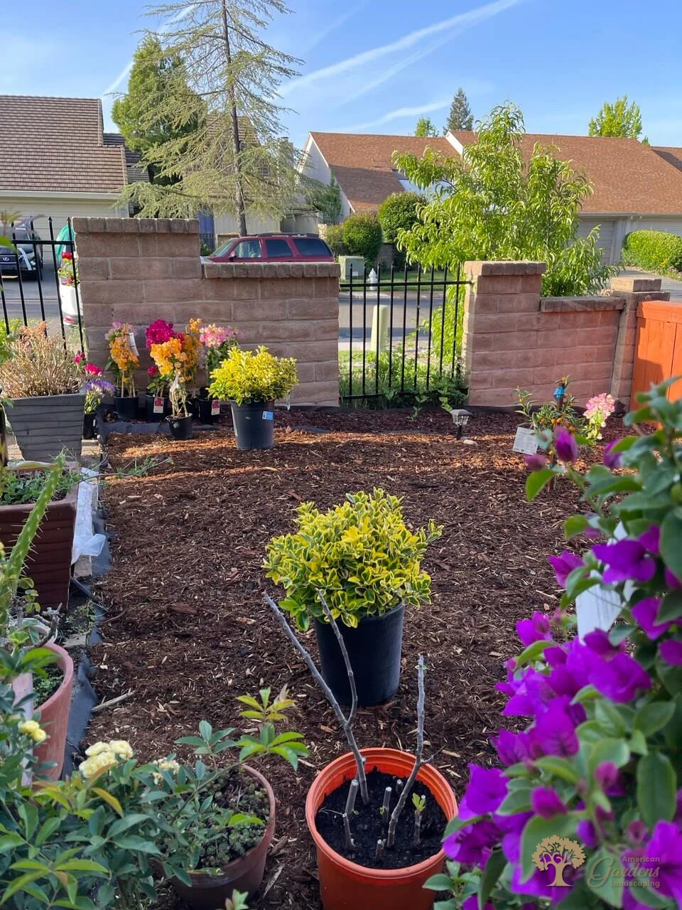 American gardens landscaping planting project 6
