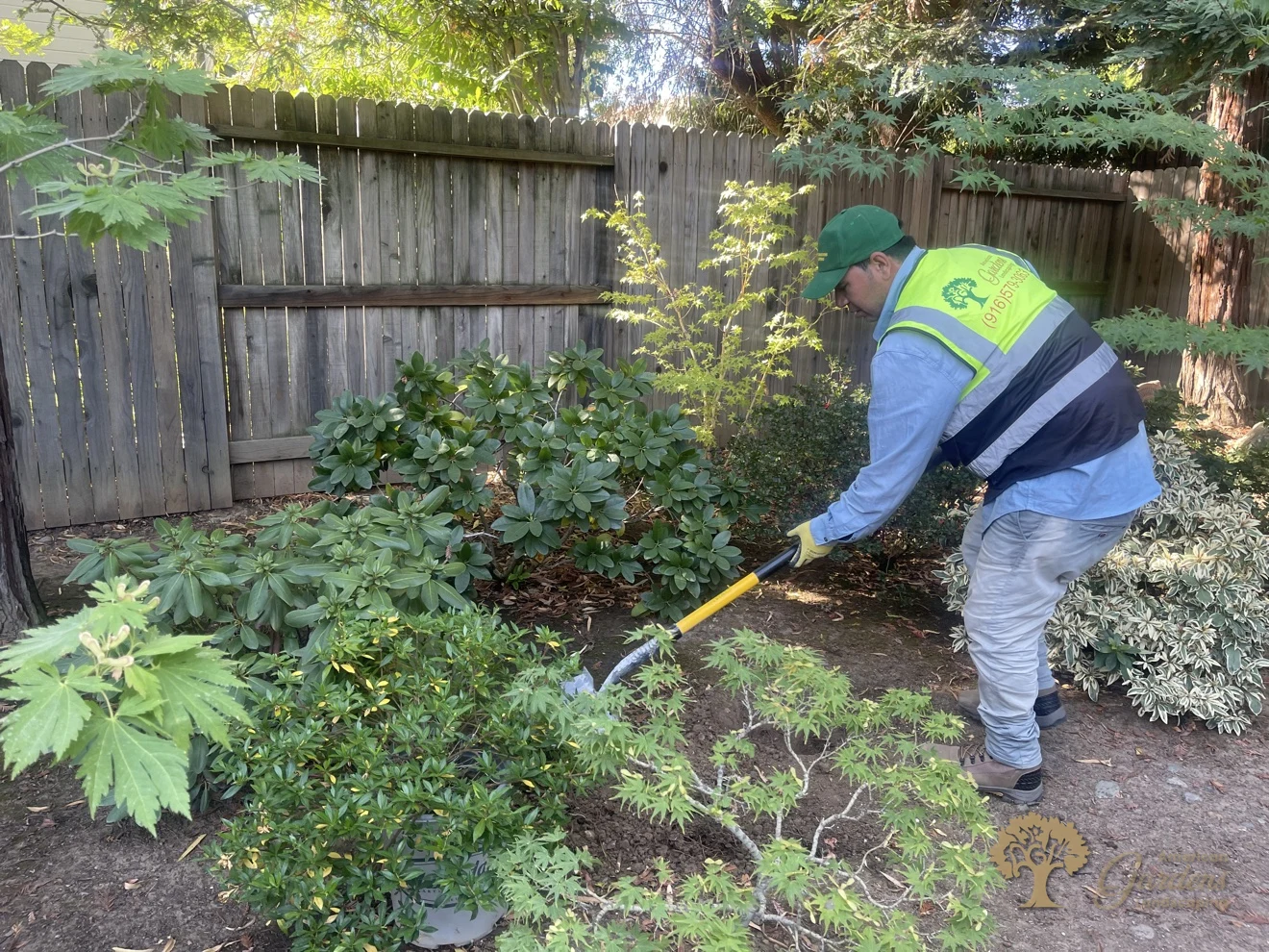 An American Gardens Landscaping crew member in a hi-vis vest and green cap digging a planting bed with a shovel along the fence of a Gold River backyard
