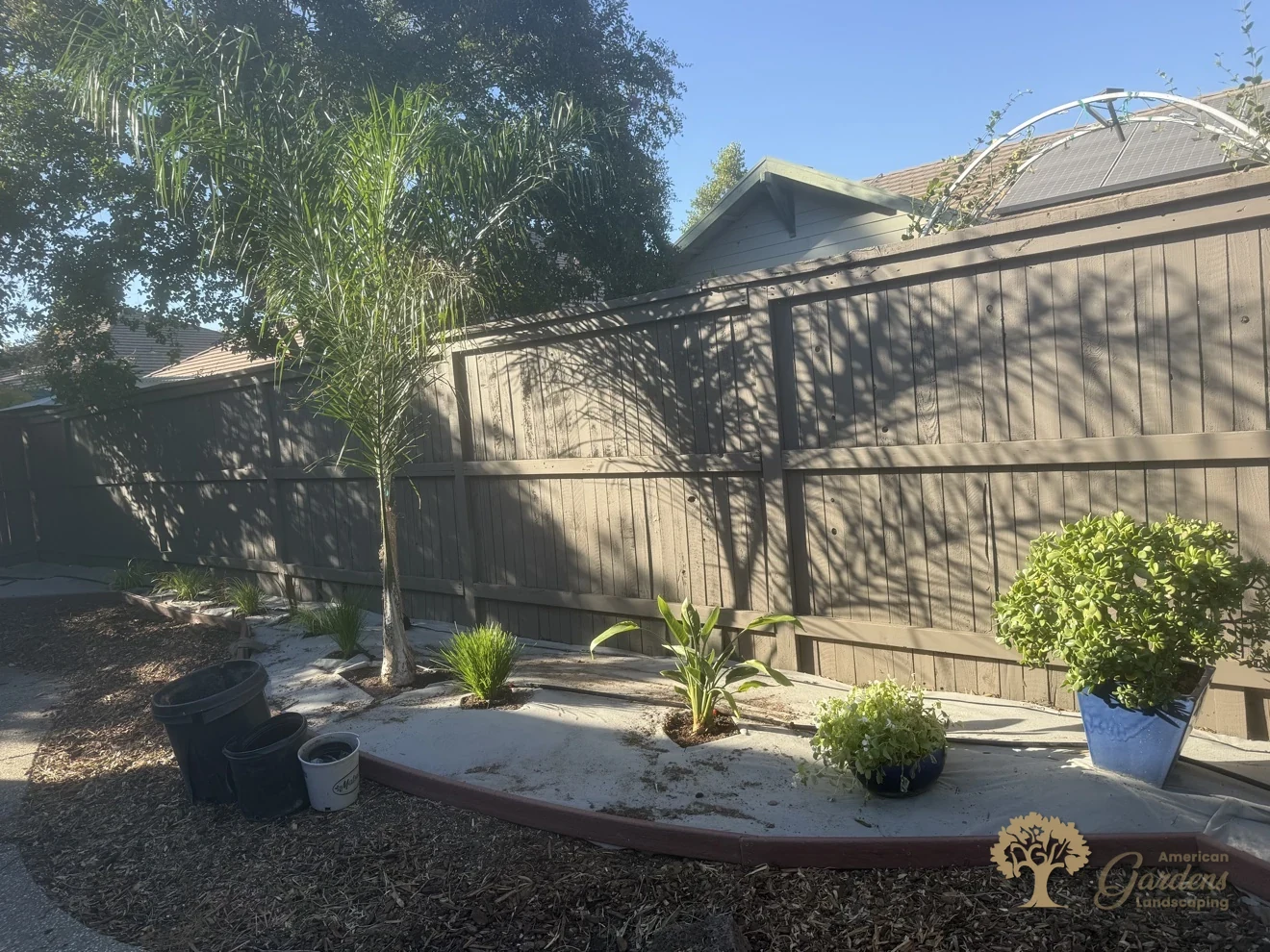 New plants set in prepared beds in Natomas, Sacramento – American Gardens Landscaping