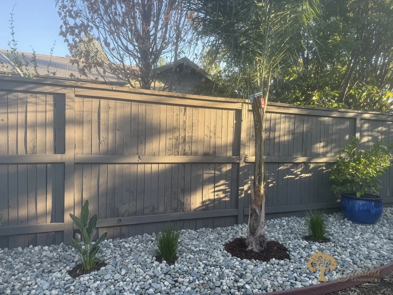 Finished planting with river rock along the fence in Natomas, Sacramento – American Gardens Landscaping