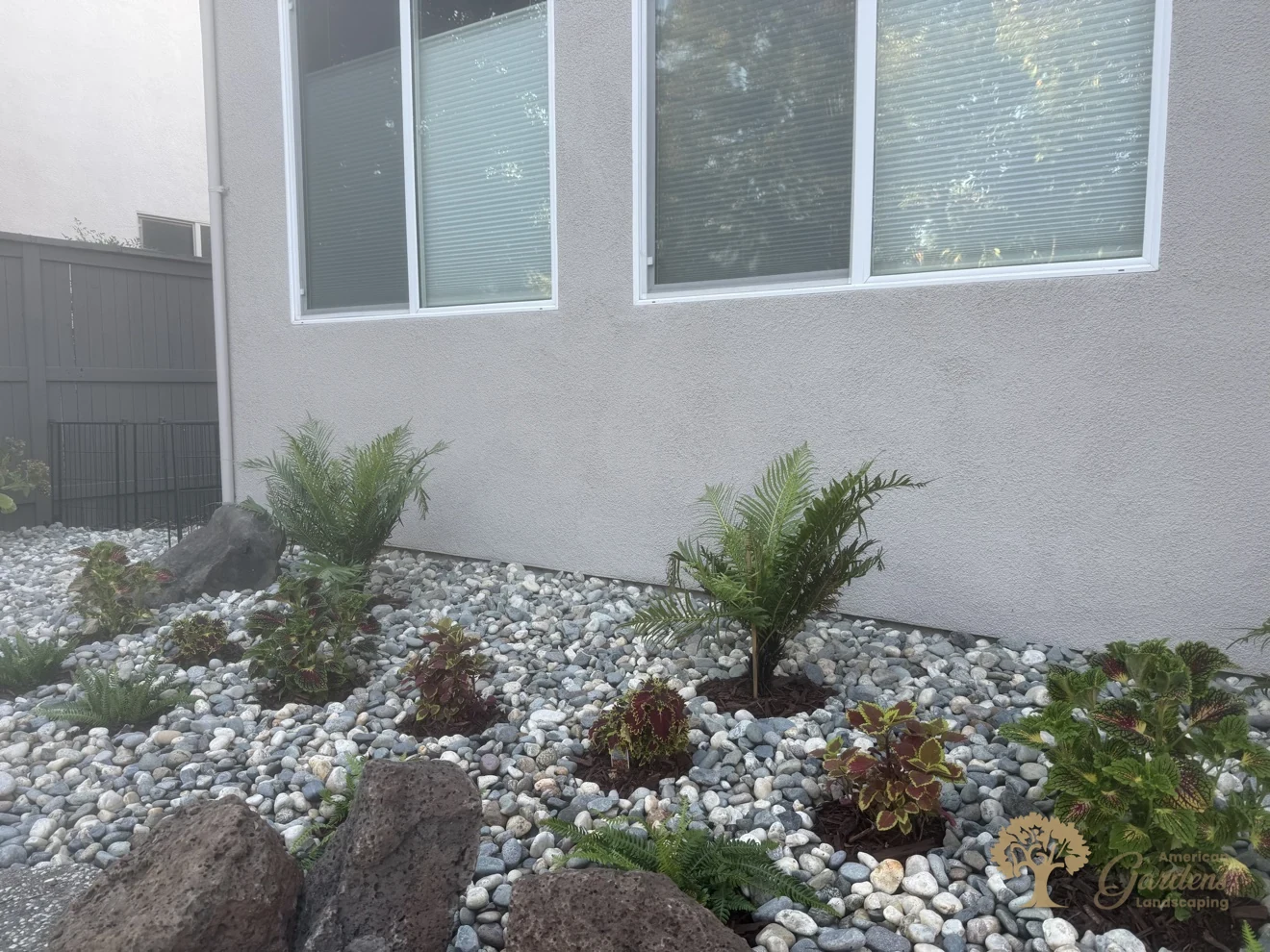 Finished side bed planting beside the house in Natomas, Sacramento – American Gardens Landscaping