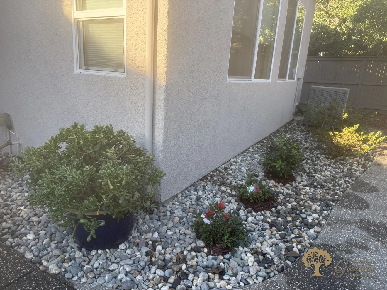 Finished planting bed along the walkway in Natomas, Sacramento – American Gardens Landscaping