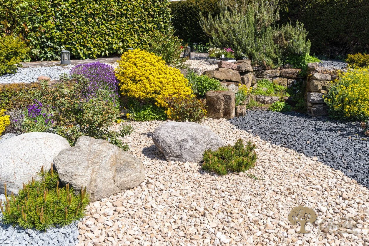 American gardens landscaping xeriscaping project 2