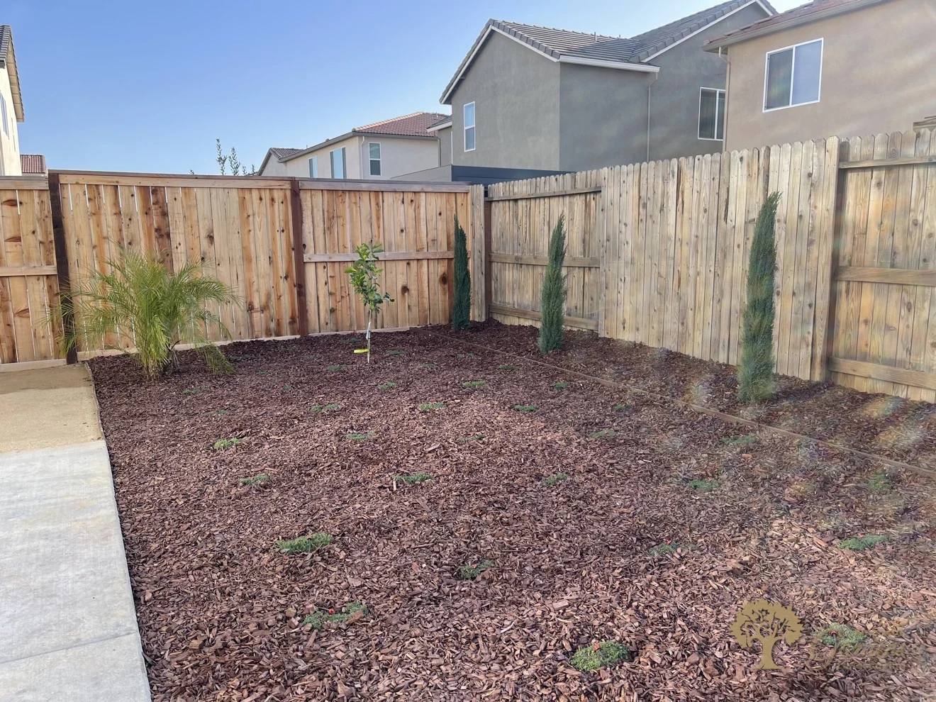 Finished bark yard with cypresses and palm in Lincoln – American Gardens Landscaping
