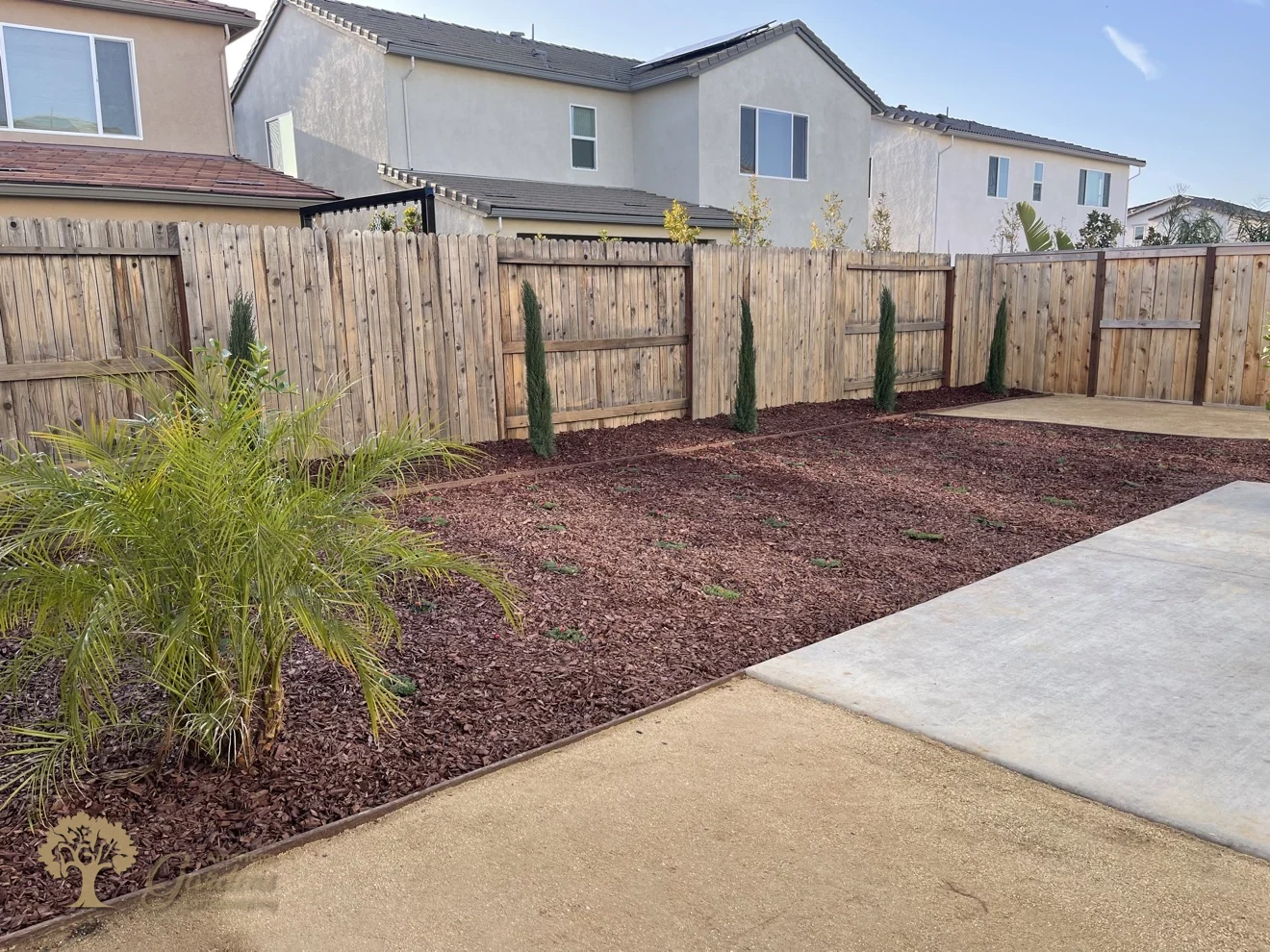 Finished backyard with palm in Lincoln – American Gardens Landscaping