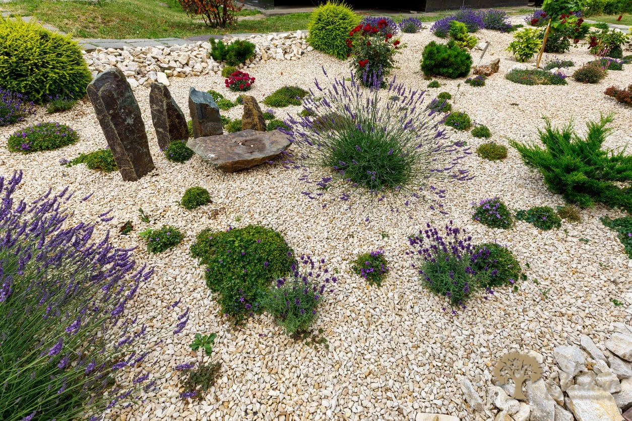 American gardens landscaping xeriscaping project 3