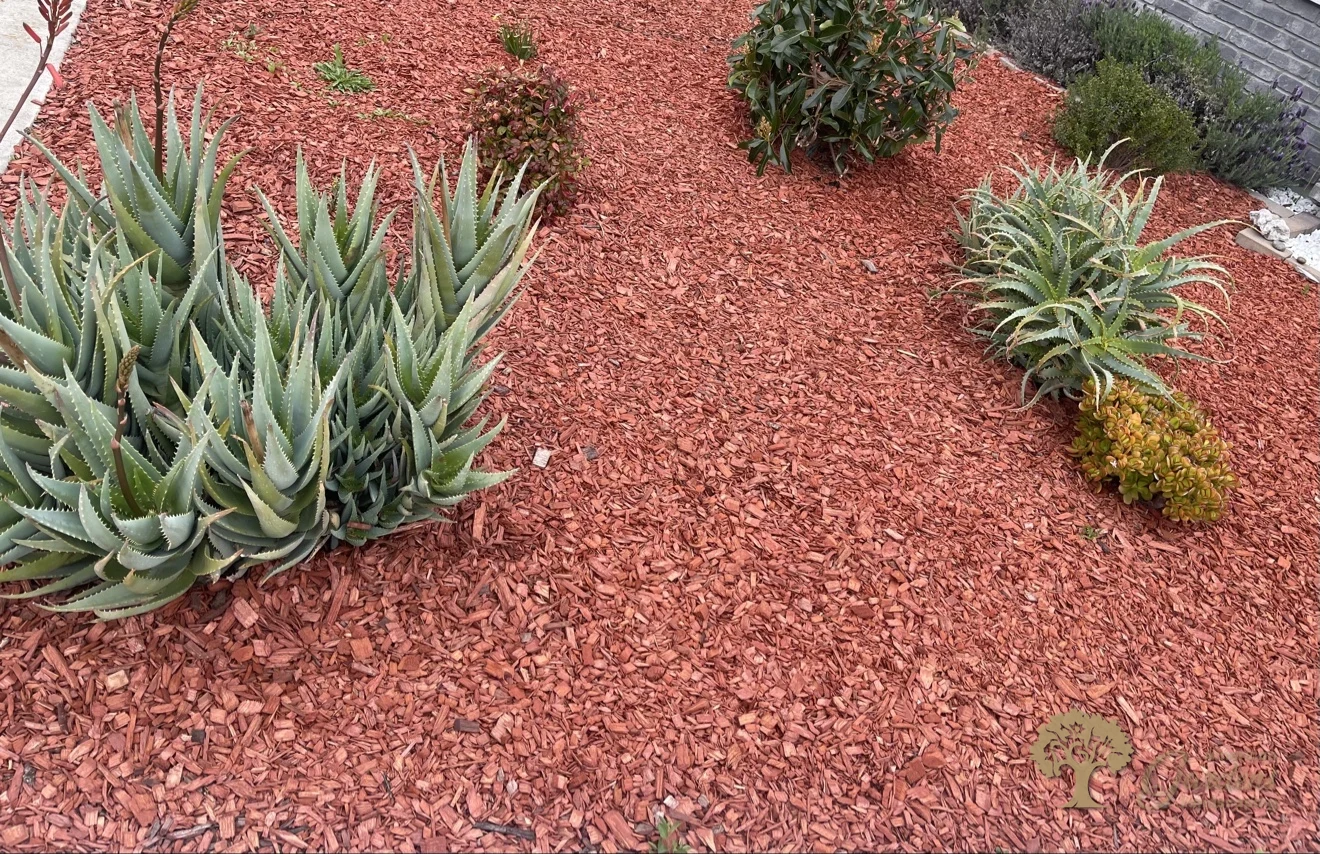 Carmichael Xeriscape Front Yard – American Gardens Landscaping