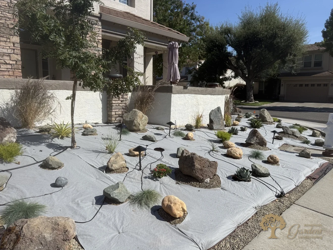 Elk Grove Xeriscape Front Yard – American Gardens Landscaping