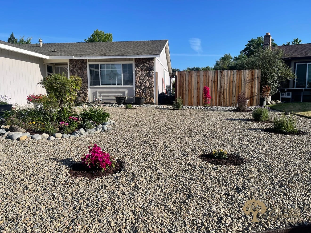 Finished xeriscape front yard conversion with light gravel, river-rock borders and new drought-tolerant plants by American Gardens Landscaping in the Sacramento area