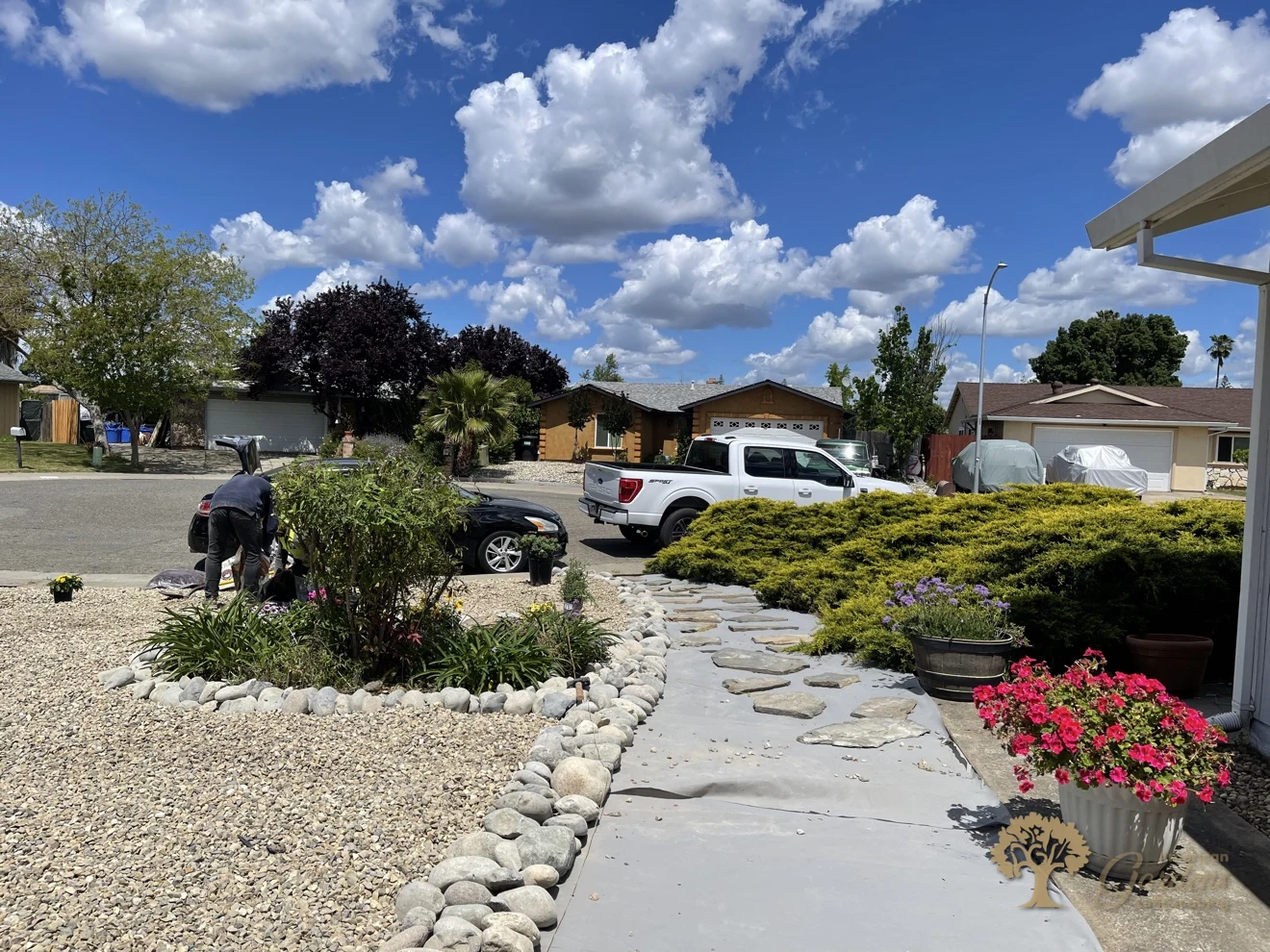 Nearly finished xeriscape front yard with light gravel, river-rock borders and a flagstone stepping-stone path as the last drought-tolerant plants go in, by American Gardens Landscaping in the Sacramento area