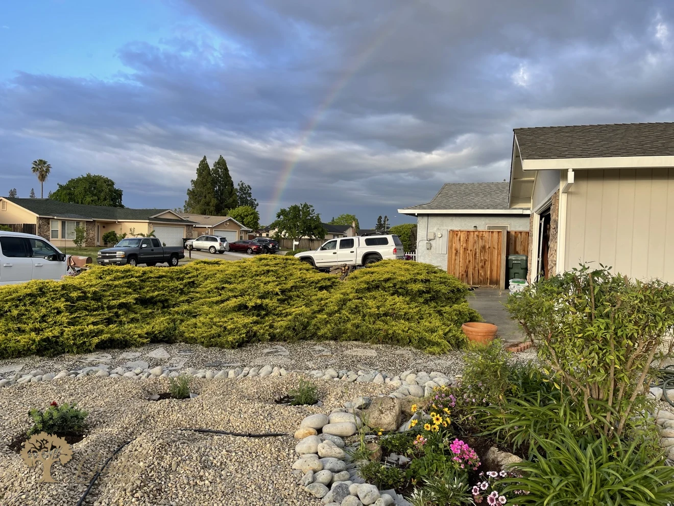 Water-wise front yard conversion with a rainbow overhead - light gravel, river-rock borders and new flowers by American Gardens Landscaping in the Sacramento area