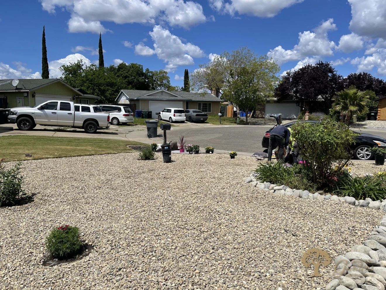 Bright-day finished xeriscape gravel field with a river-rock border by the mailbox as the last plants are finished at the far edge, by American Gardens Landscaping in the Sacramento area