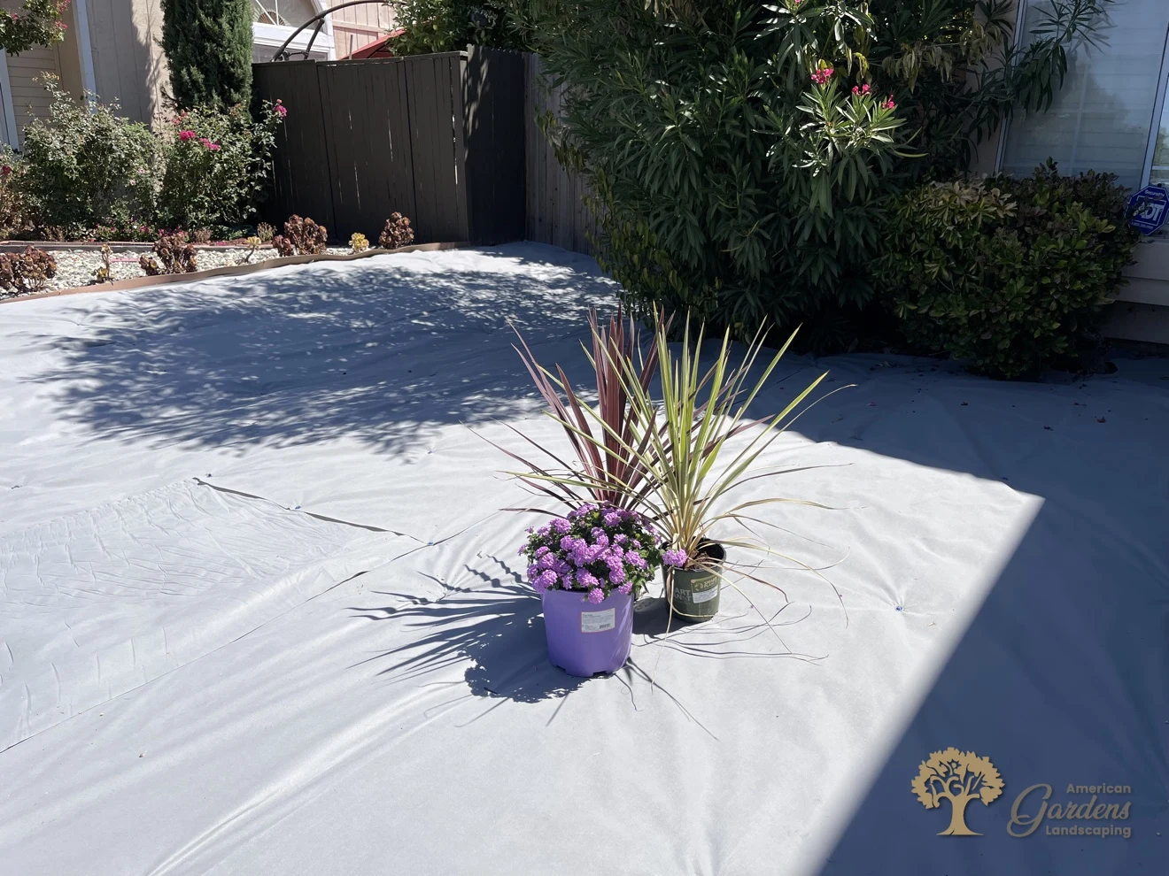 Potted plants staged on weed fabric during a front-yard xeriscape conversion in Rancho Cordova by American Gardens Landscaping