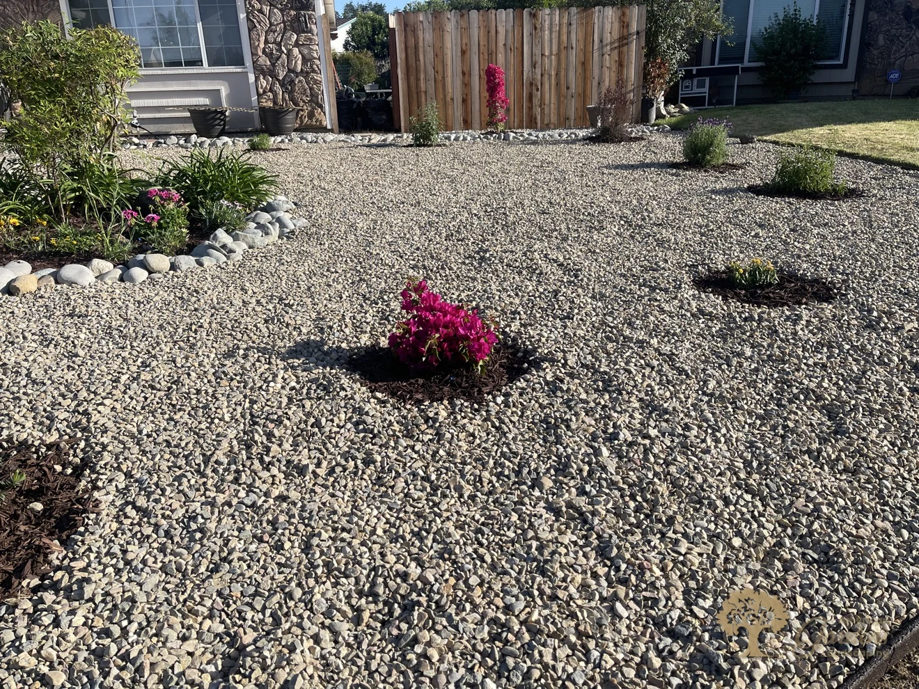 Finished xeriscape front yard with a decorative gravel field, river-rock border and flowering shrubs in mulch rings in front of a stone-veneer house by American Gardens Landscaping