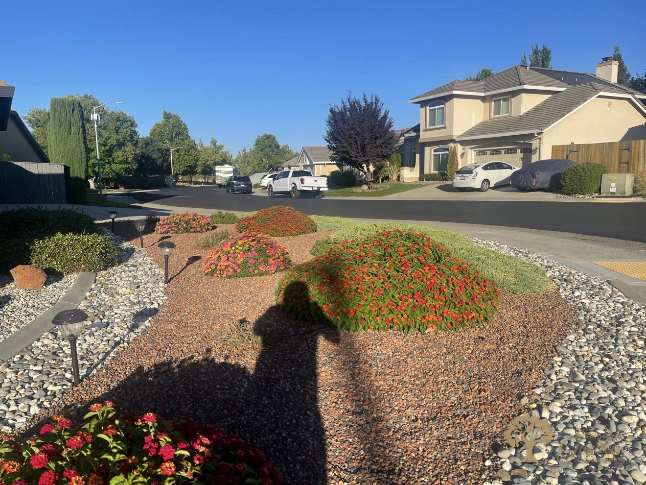 Corner-lot xeriscape front yard with flowering lantana mounds, decorative gravel, river-rock edging and solar path lights by American Gardens Landscaping