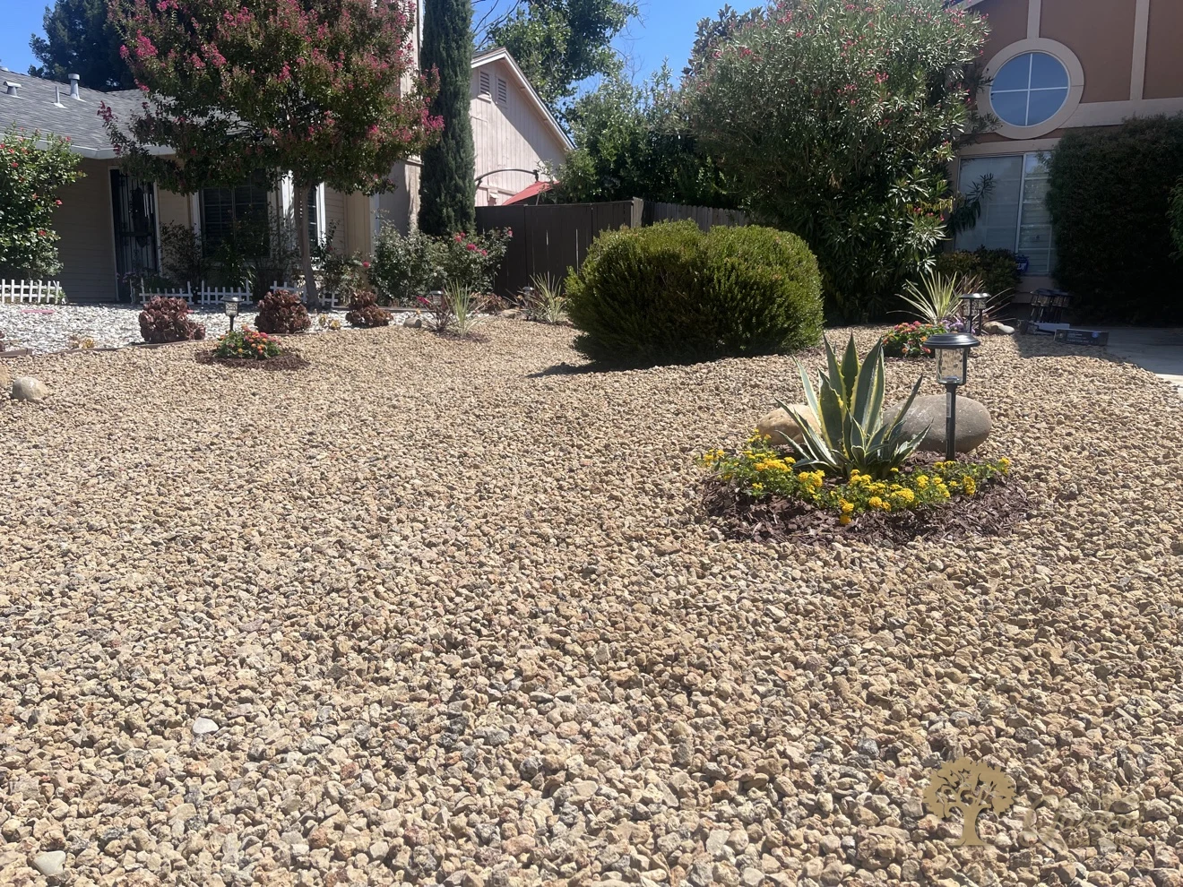 Decorative gravel xeriscape front yard with an agave planting island, solar path light and flowering crape myrtle by American Gardens Landscaping