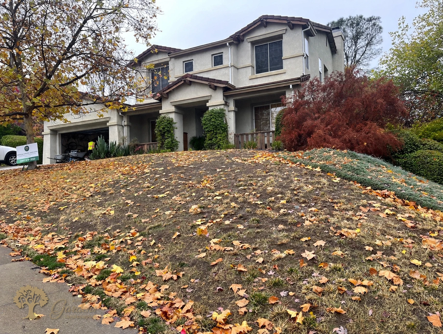 Front yard before a xeriscape conversion in El Dorado Hills – American Gardens Landscaping